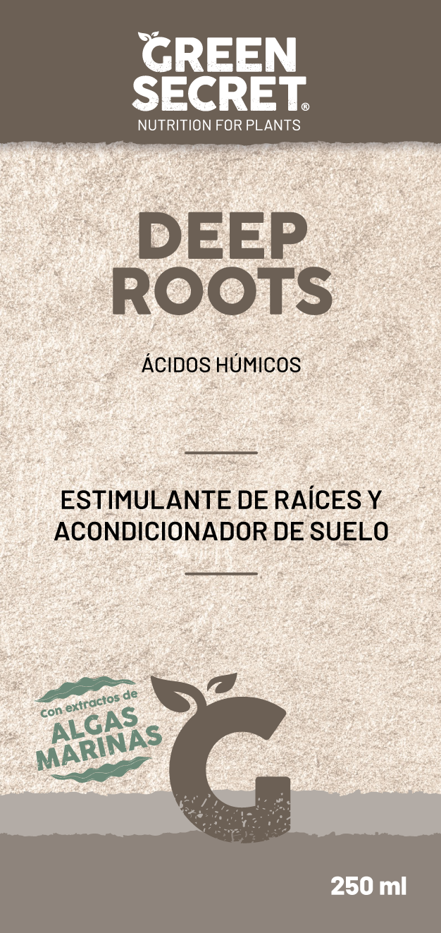 Deep Roots