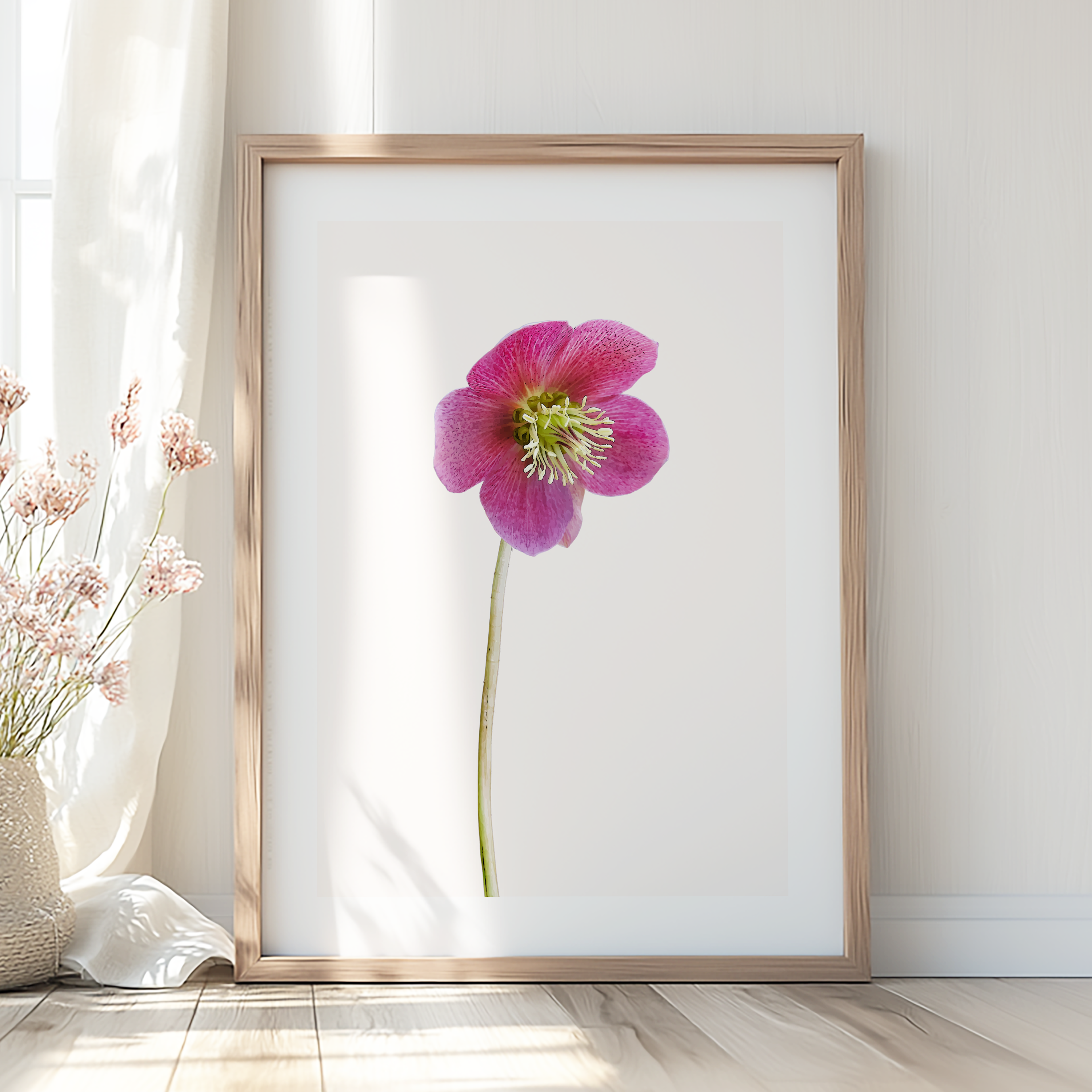 Unframed Pink Hellebore Floral Art Print