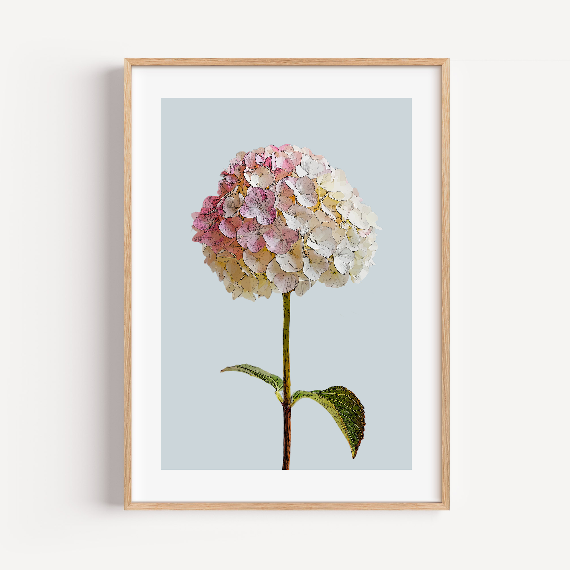 Unframed Pink Hydrangea Floral Art Print