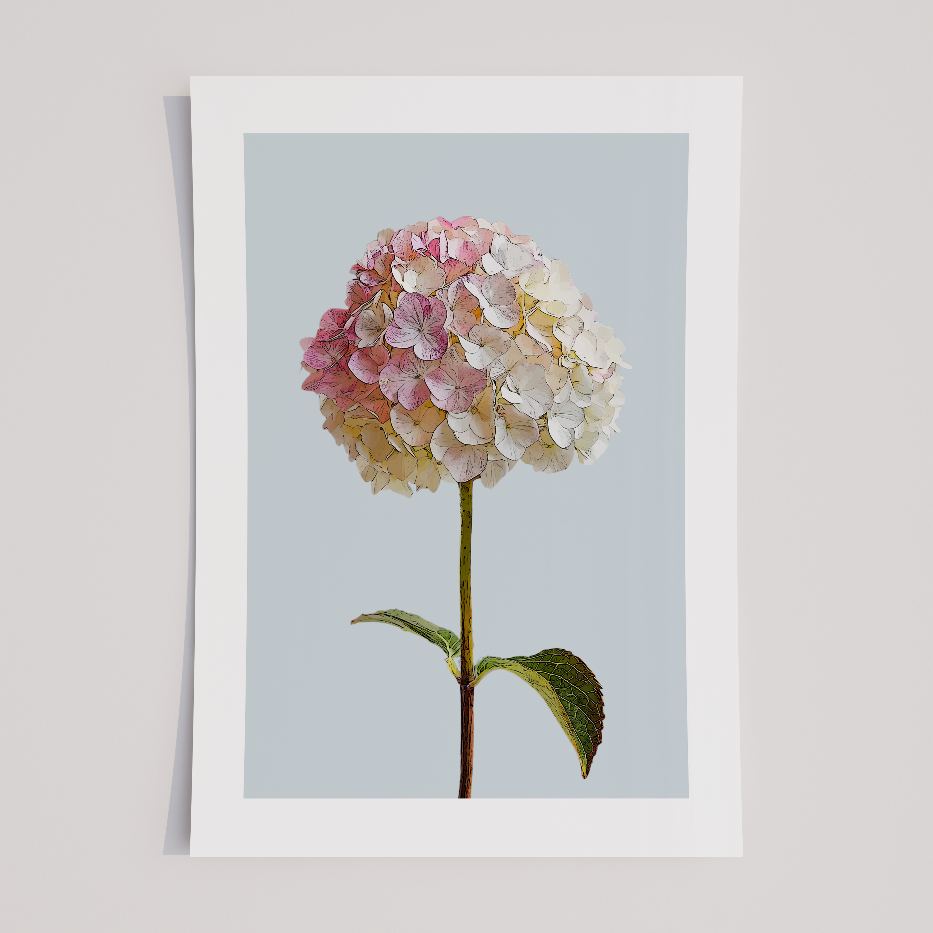 Unframed Pink Hydrangea Floral Art Print