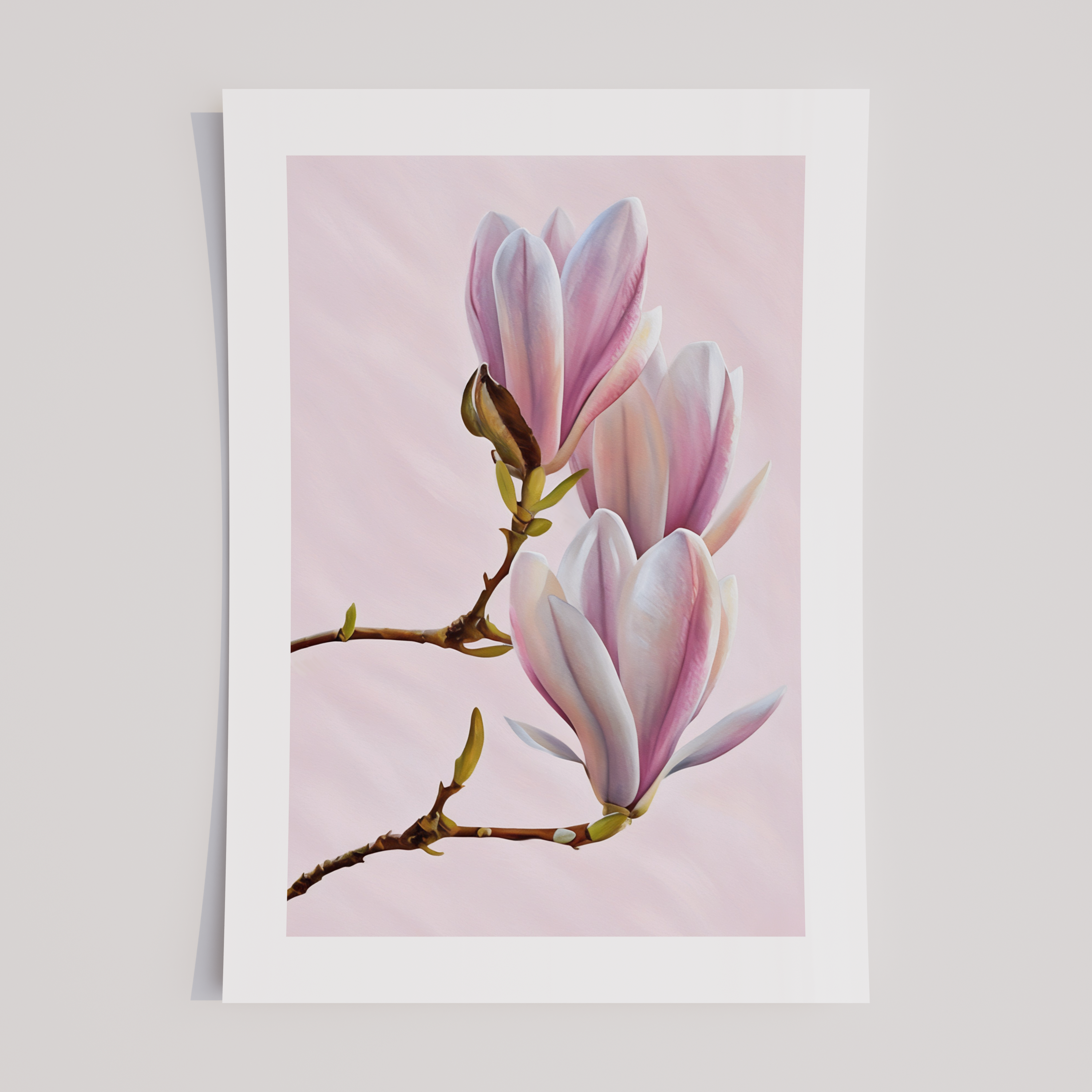 Unframed Pink Magnolia Botanical Floral Art Print