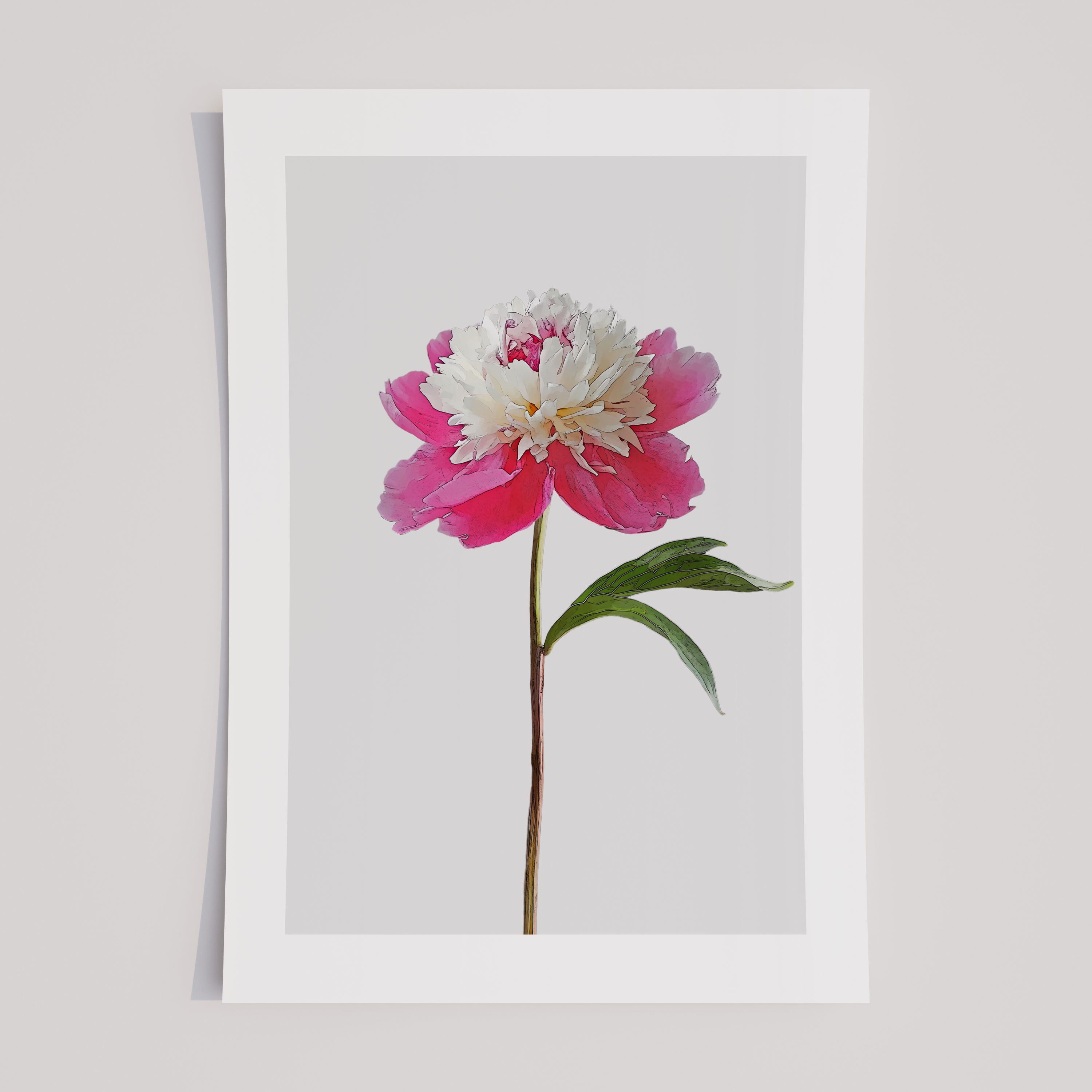 Unframed Pink Peony Minimalist Floral Art Print