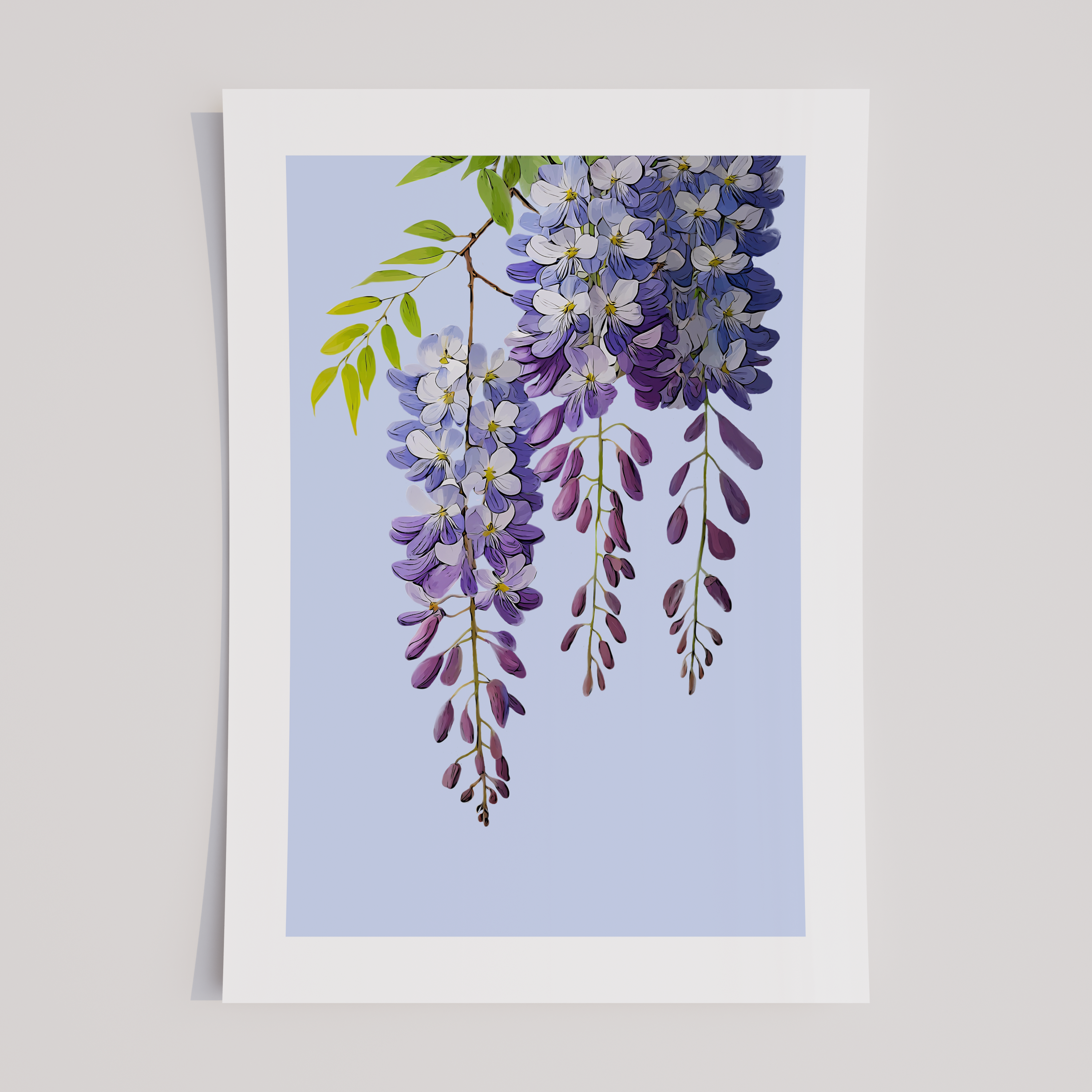 Unframed Wisteria Floral Art Print