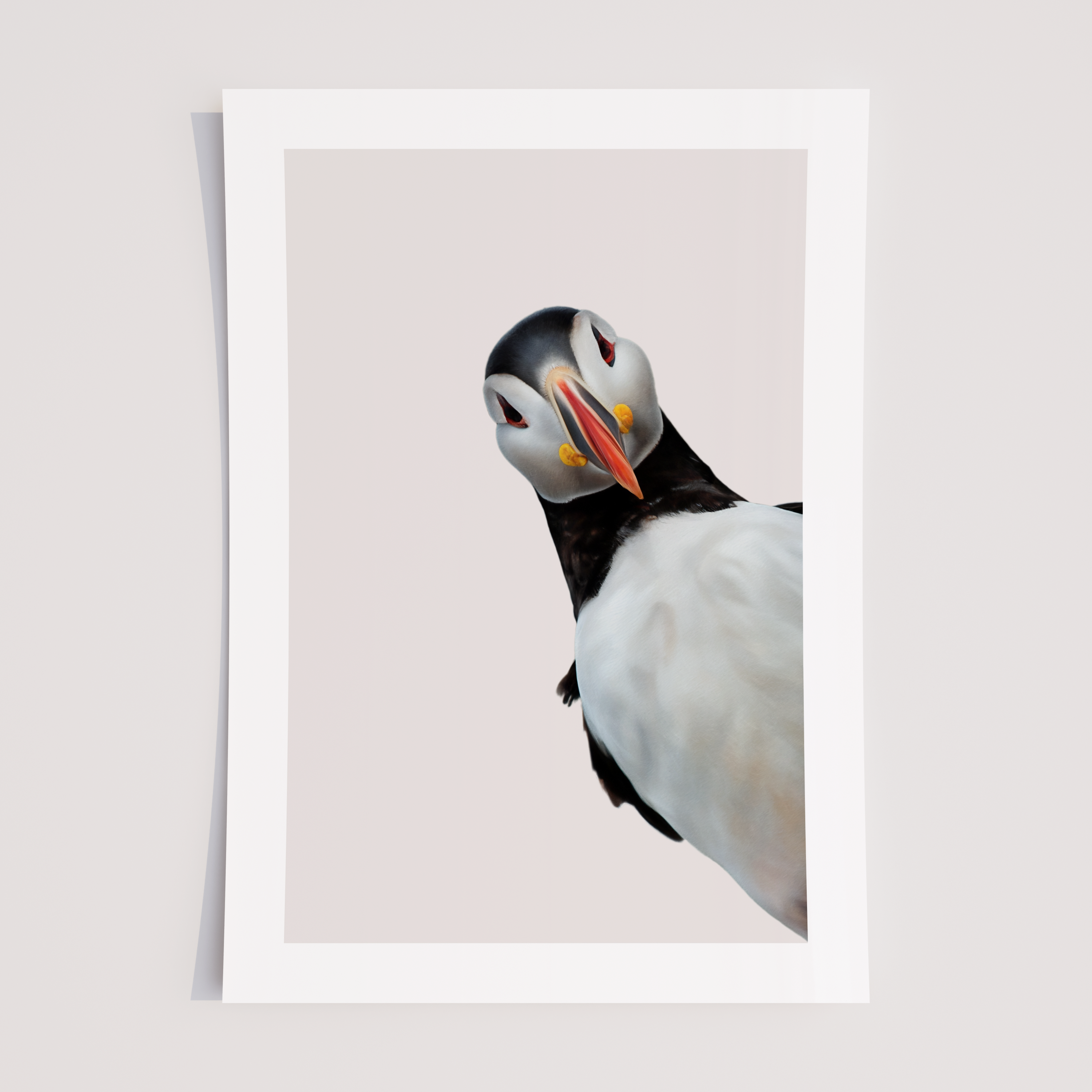 Unframed Puffin Wall Art Print – Cute Coastal Bird Illustration 