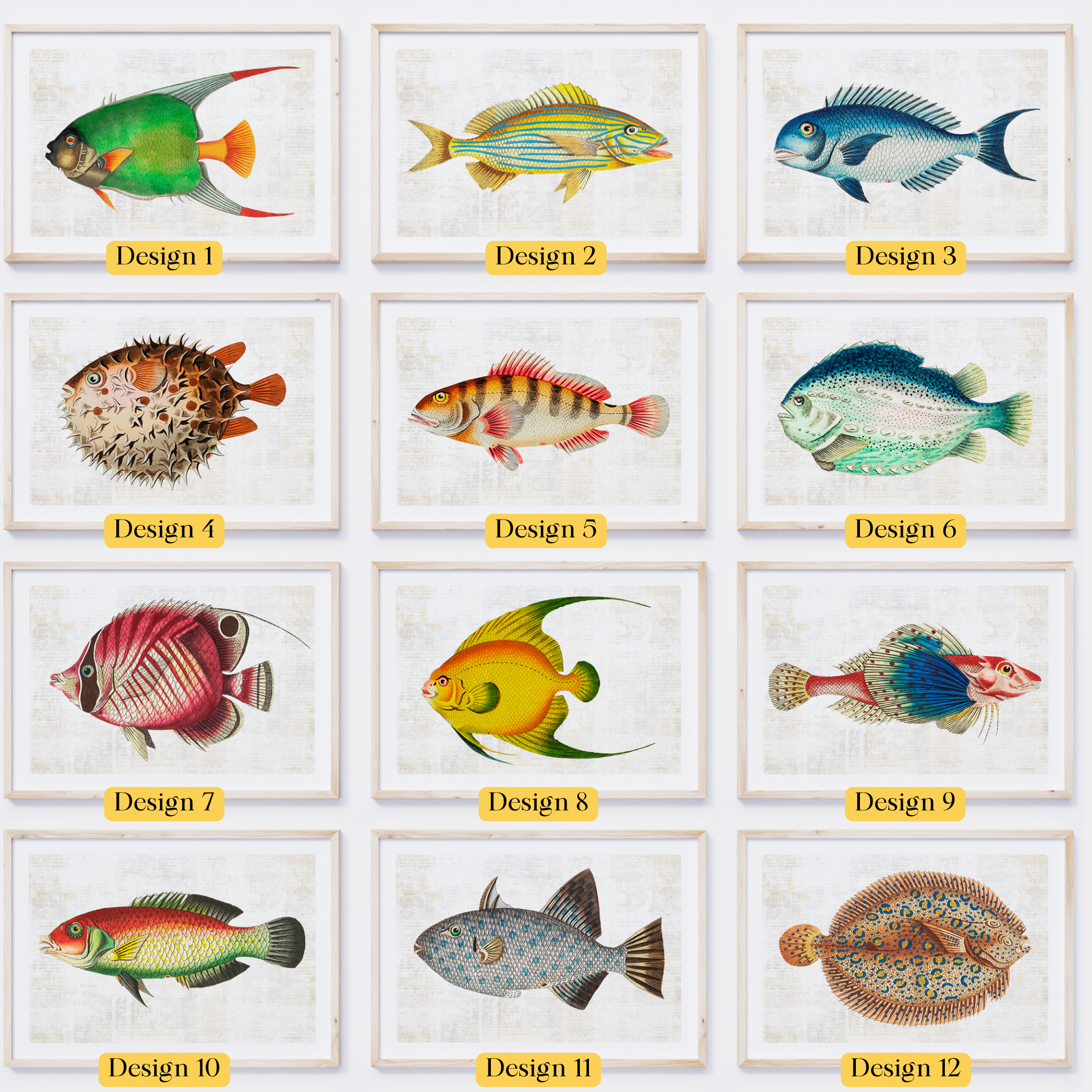 Colourful Vintage Fish Art Prints — Nautical Coastal Wall Art Set (Choose 1, 3 or 6)