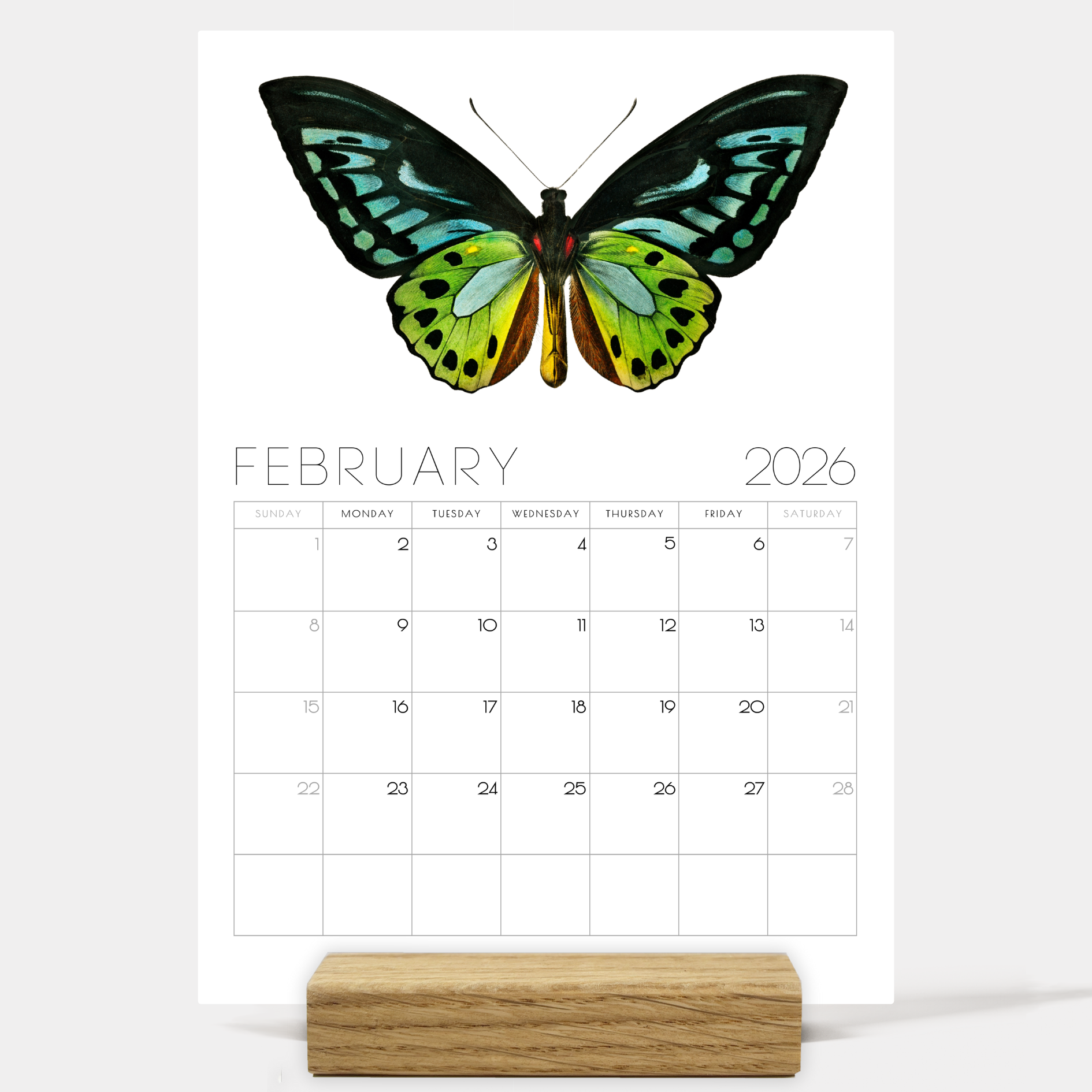 2026 Minimalist Vintage Butterfly Art Desk Calendar – Vintage Wildlife Art Calendar with or without wooden stand 