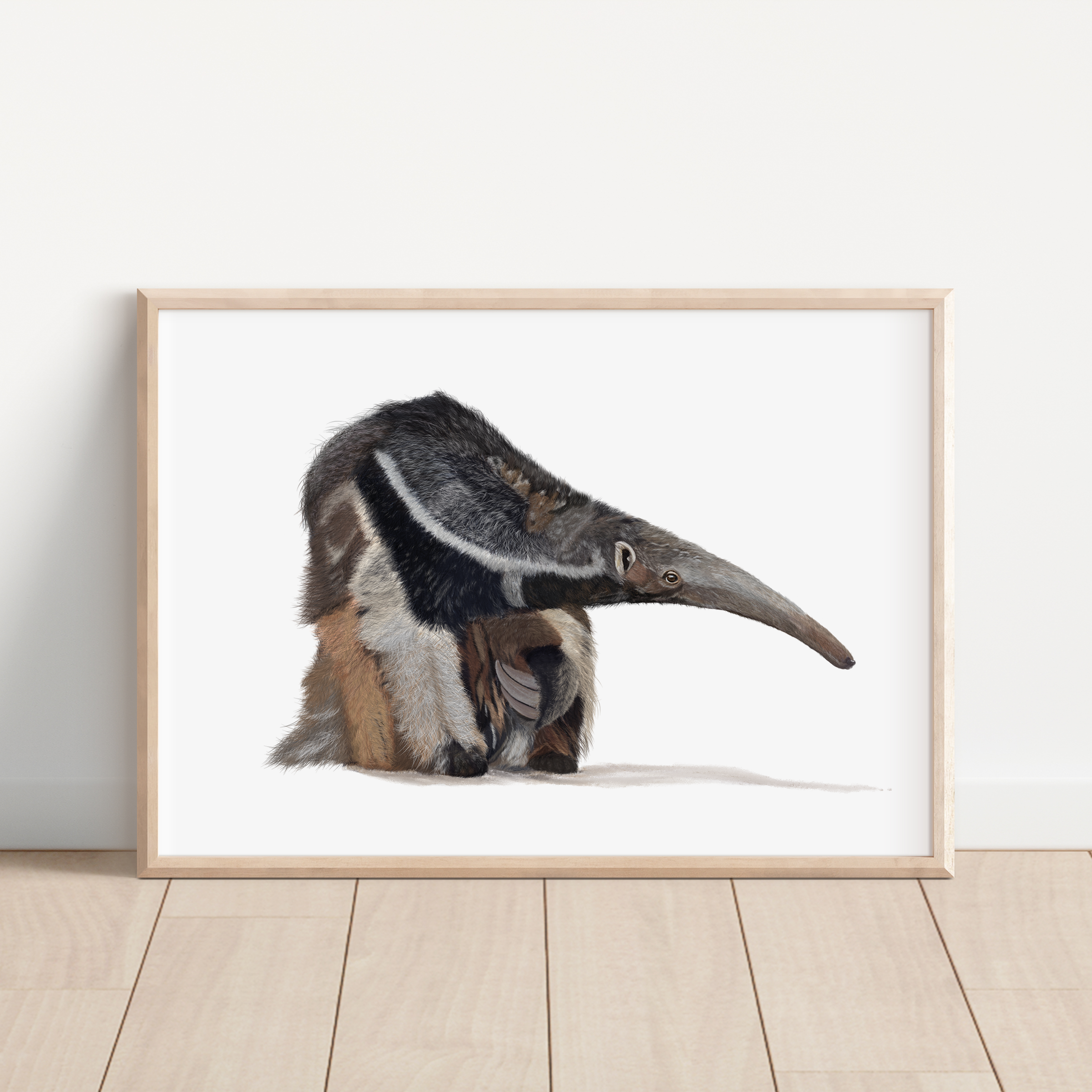 Anteater Wall Art Print - Wildlife Illustration Print