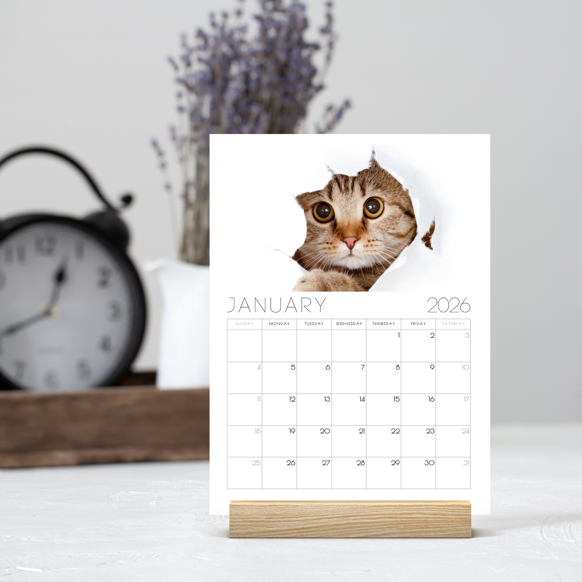 2026 Minimalist Cat Desk Calendar – Modern Cat Art with Optional Wooden Stand | Cute Gift for Cat Lovers