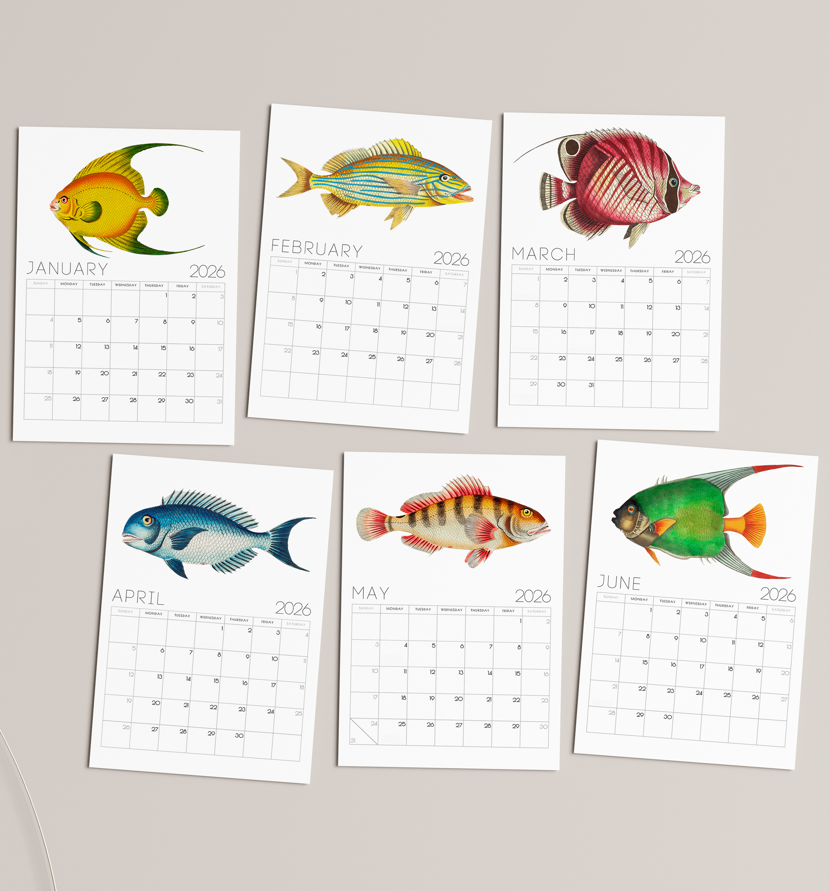 2026 Minimalist Vintage Fish Art Desk Calendar – Nautical Art Calendar with or without wooden stand 