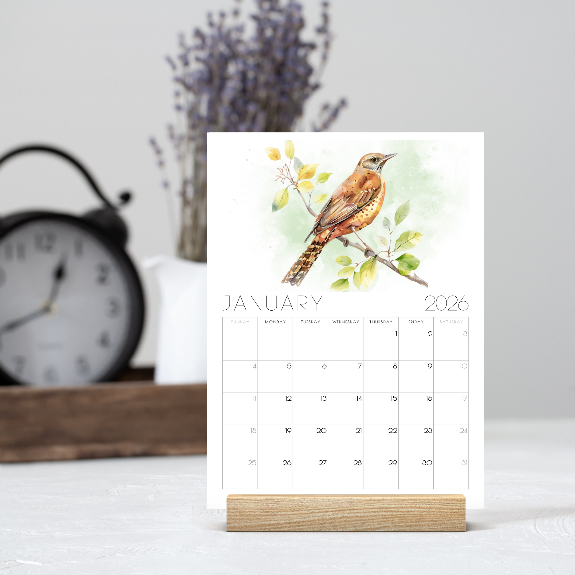 2026 Minimalist British Bird Desk Calendar – Elegant Desk Calendar with or without wooden stand 