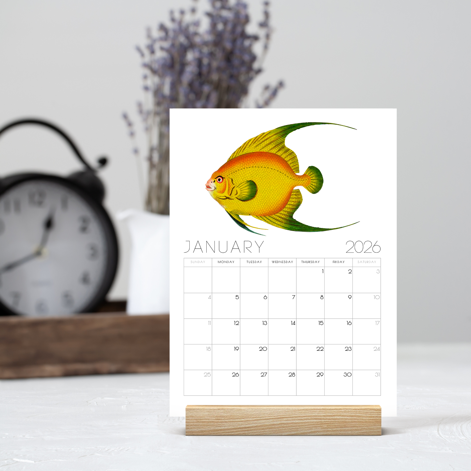 2026 Minimalist Vintage Fish Art Desk Calendar – Nautical Art Calendar with or without wooden stand 