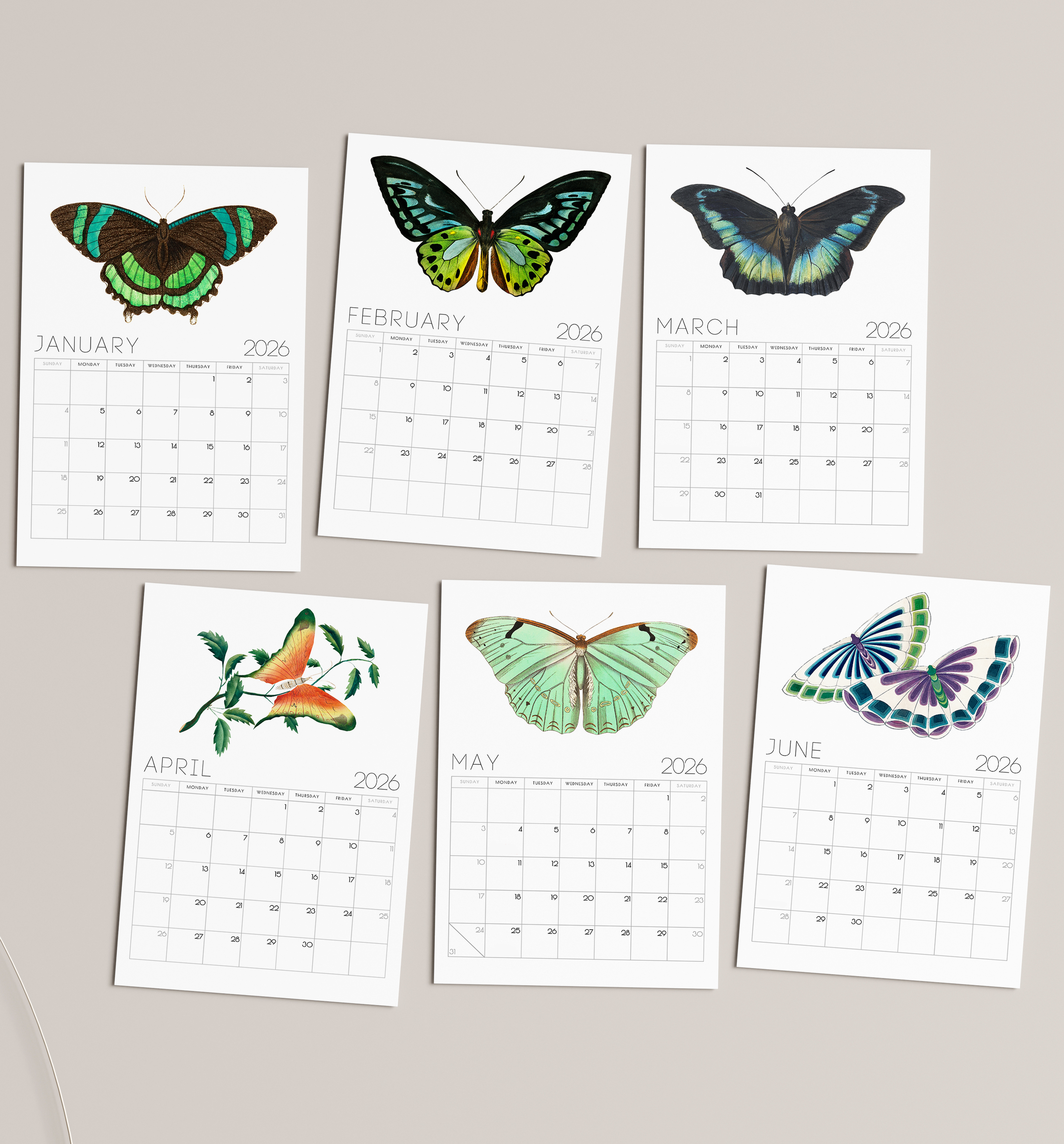 2026 Minimalist Vintage Butterfly Art Desk Calendar – Vintage Wildlife Art Calendar with or without wooden stand 