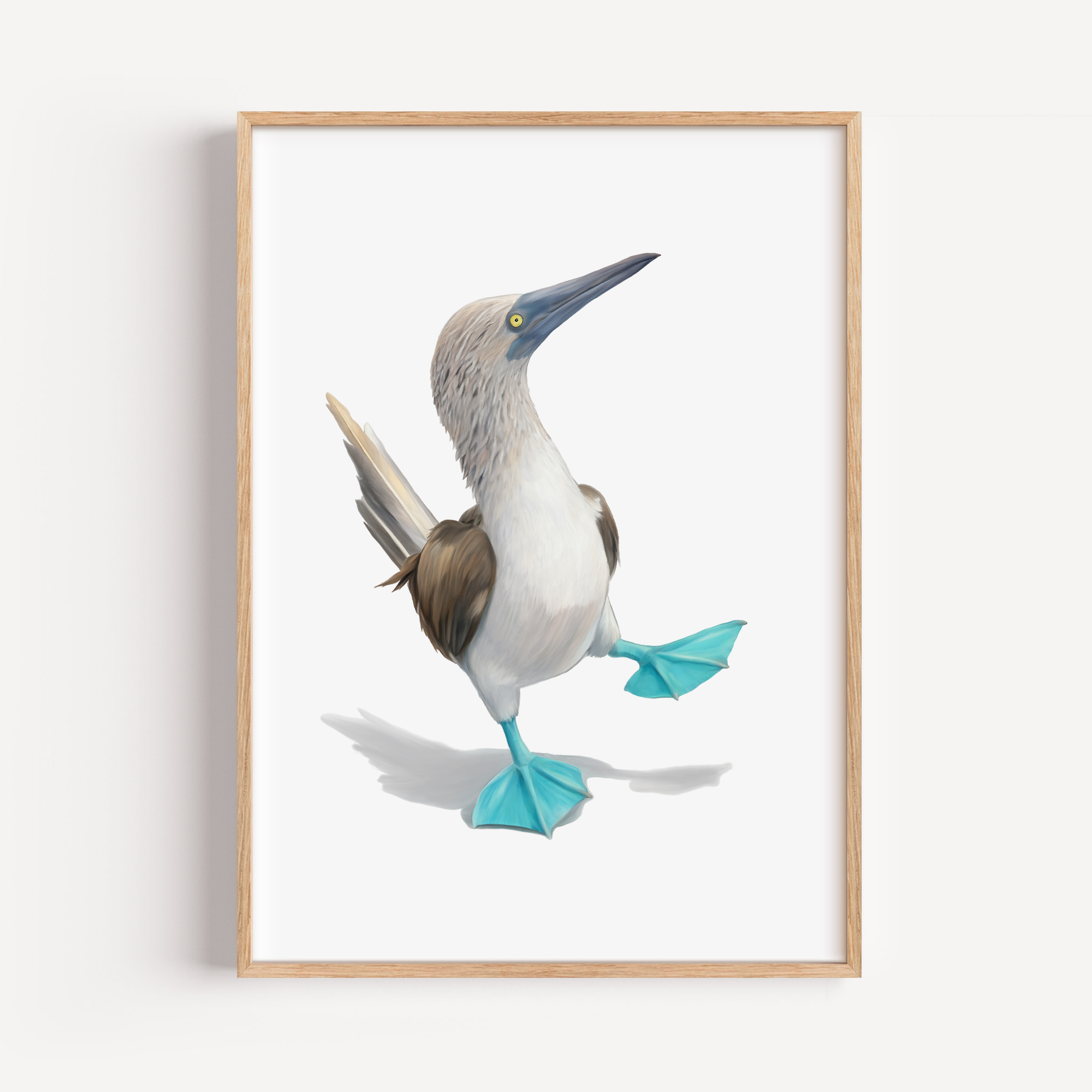 Blue Footed Booby Art Print - Nautical Home Decor