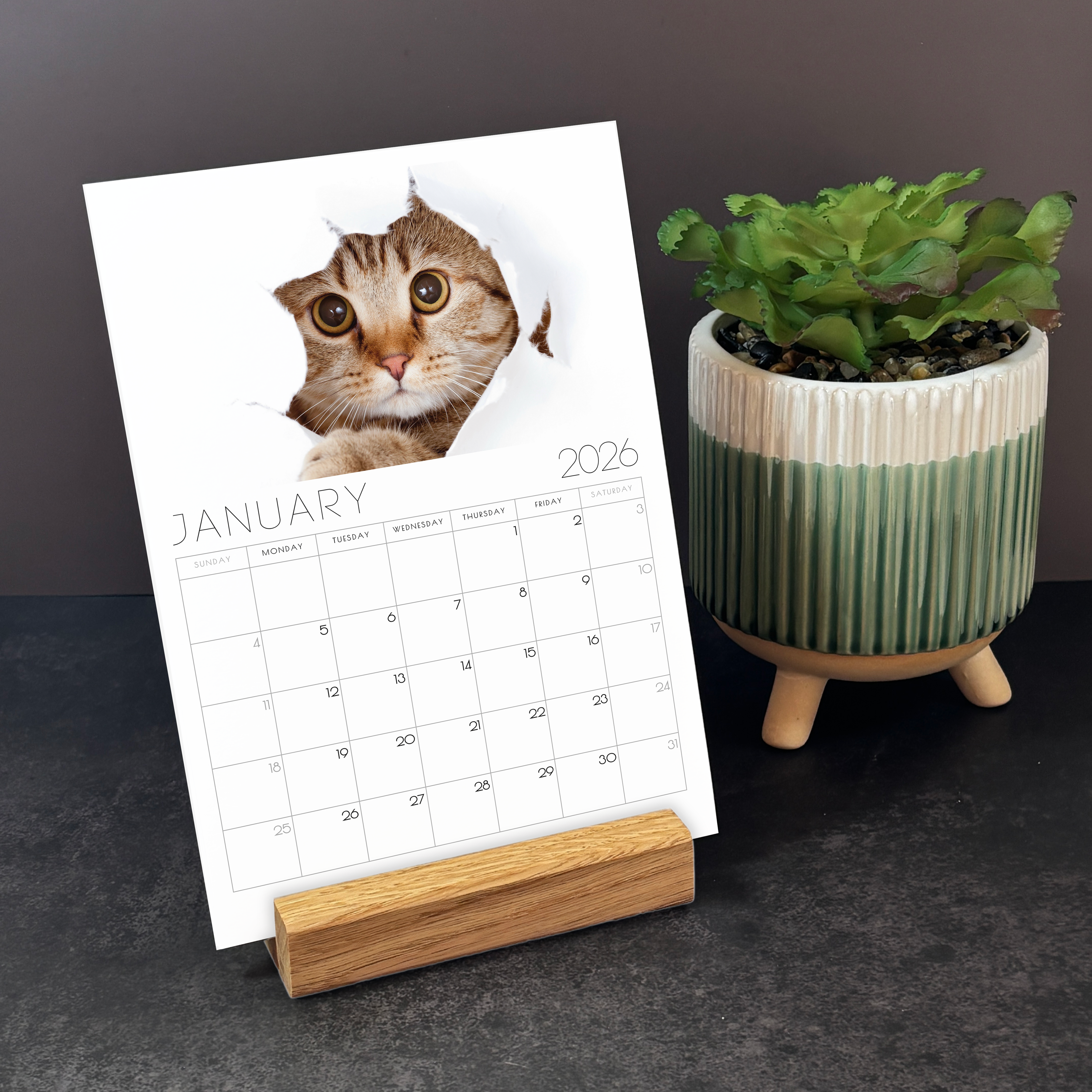 2026 Minimalist Cat Desk Calendar – Modern Cat Art with Optional Wooden Stand | Cute Gift for Cat Lovers