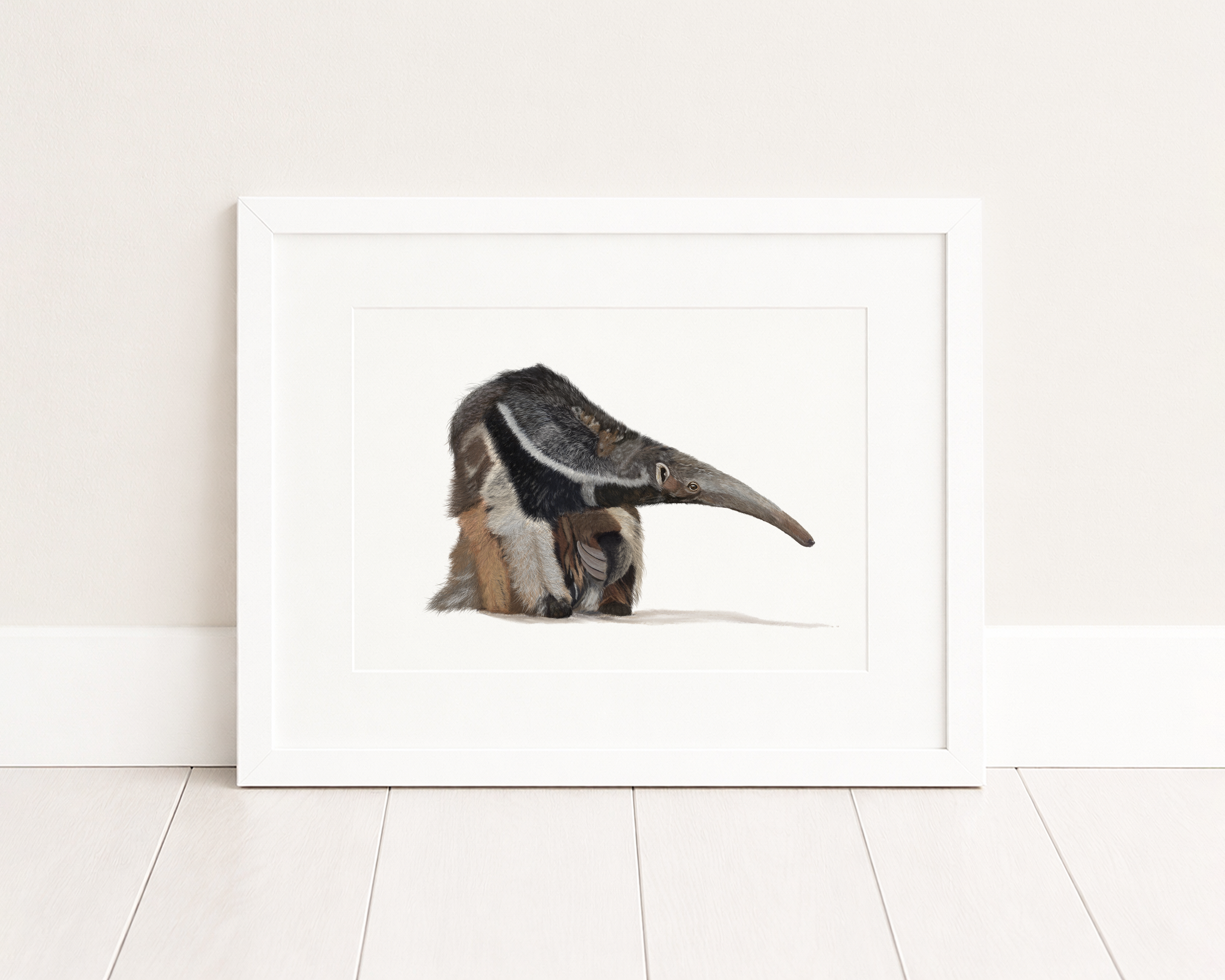 Anteater Wall Art Print - Wildlife Illustration Print