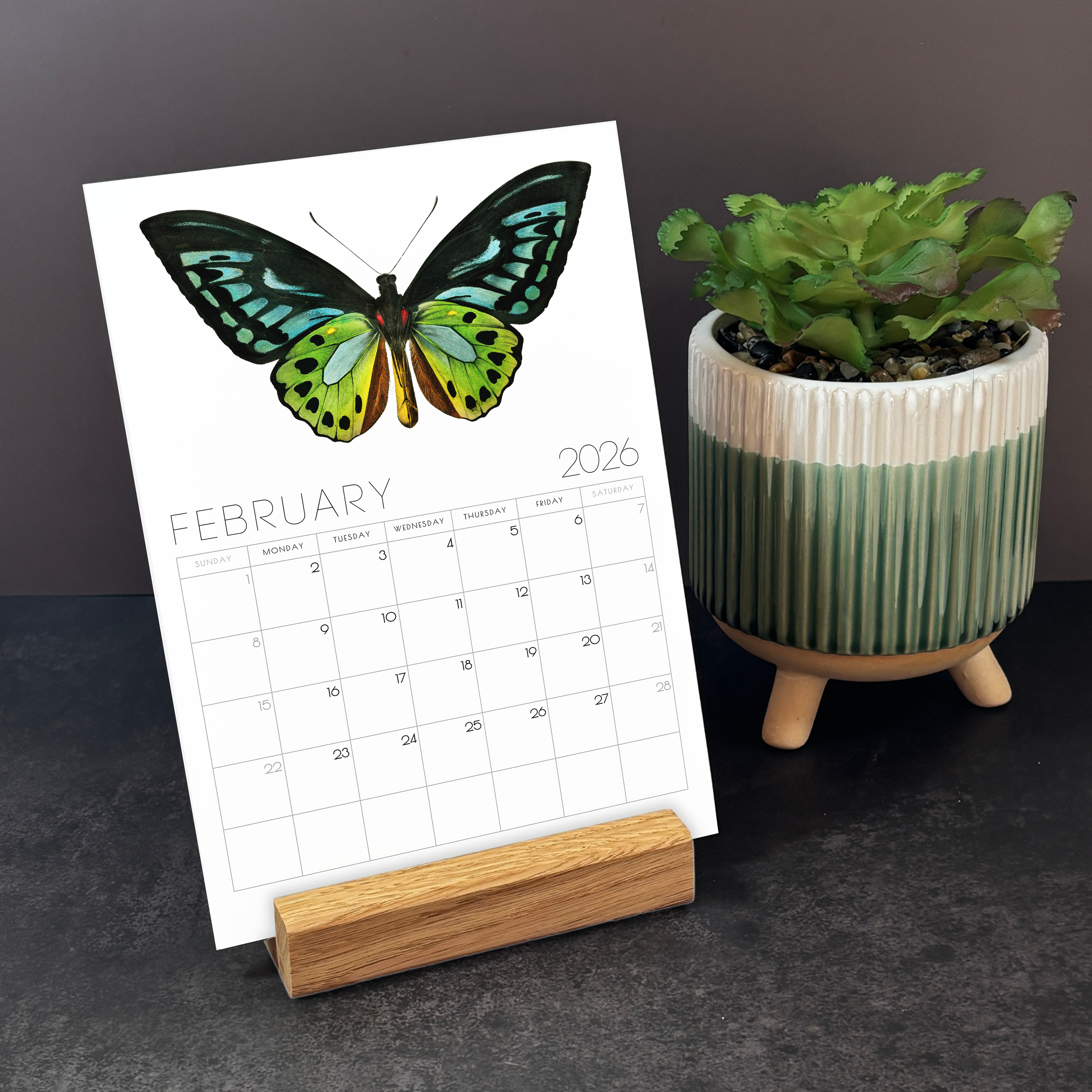 2026 Minimalist Vintage Butterfly Art Desk Calendar – Vintage Wildlife Art Calendar with or without wooden stand
