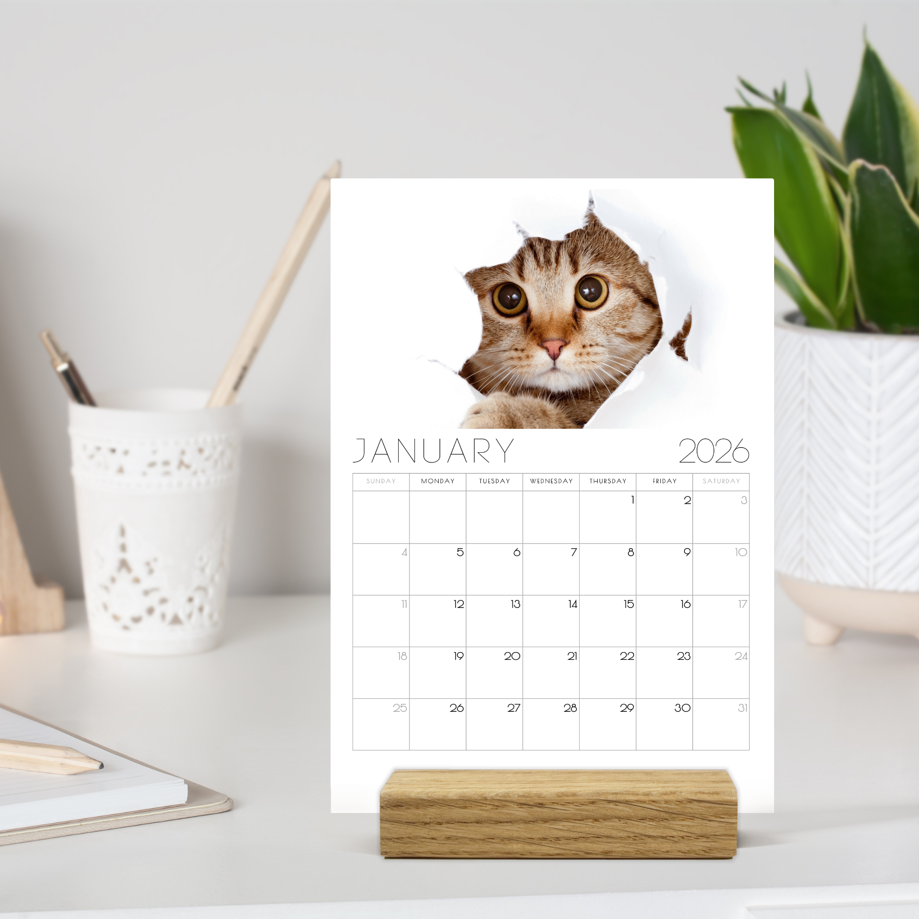 2026 Minimalist Cat Desk Calendar – Modern Cat Art with Optional Wooden Stand | Cute Gift for Cat Lovers