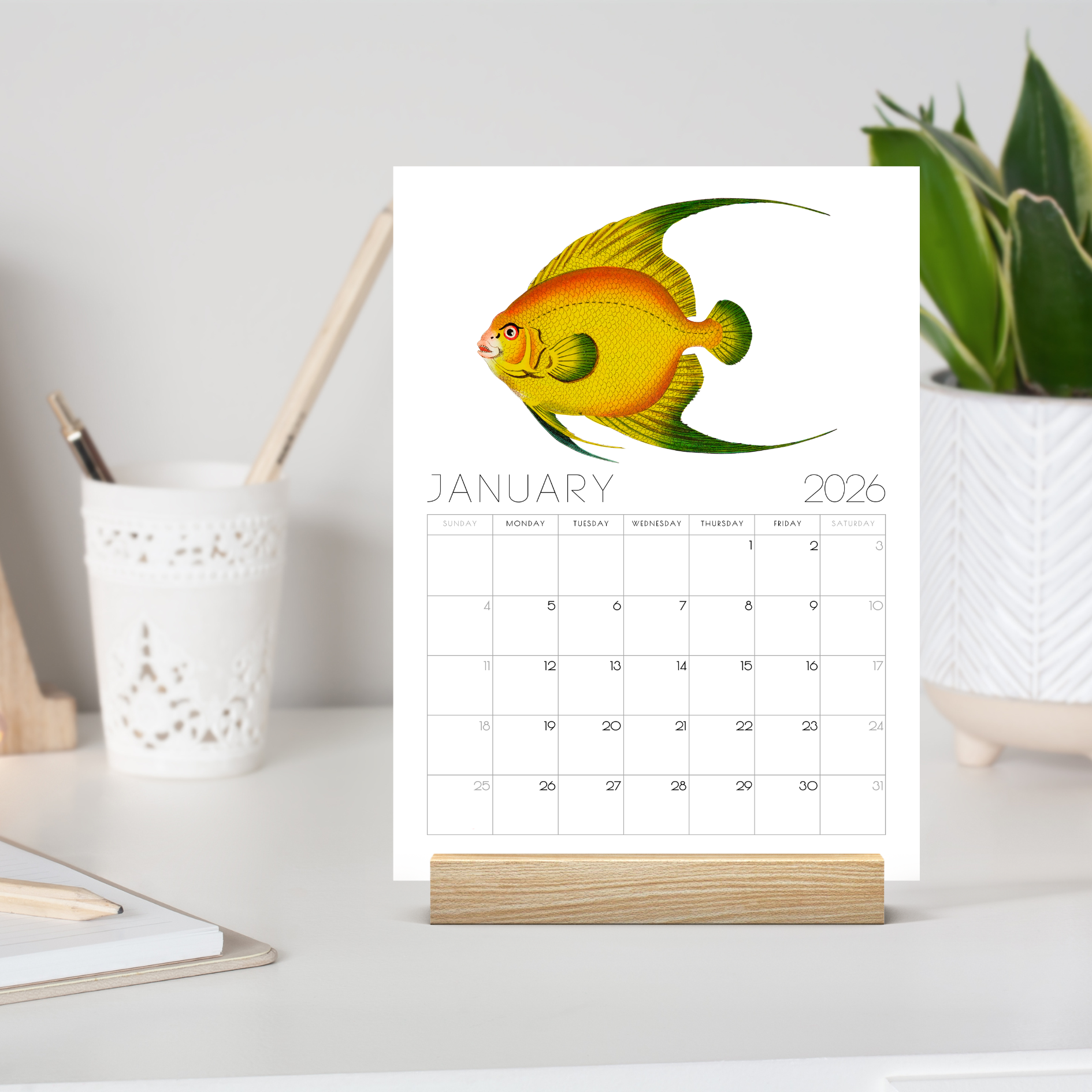 2026 Minimalist Vintage Fish Art Desk Calendar – Nautical Art Calendar with or without wooden stand 