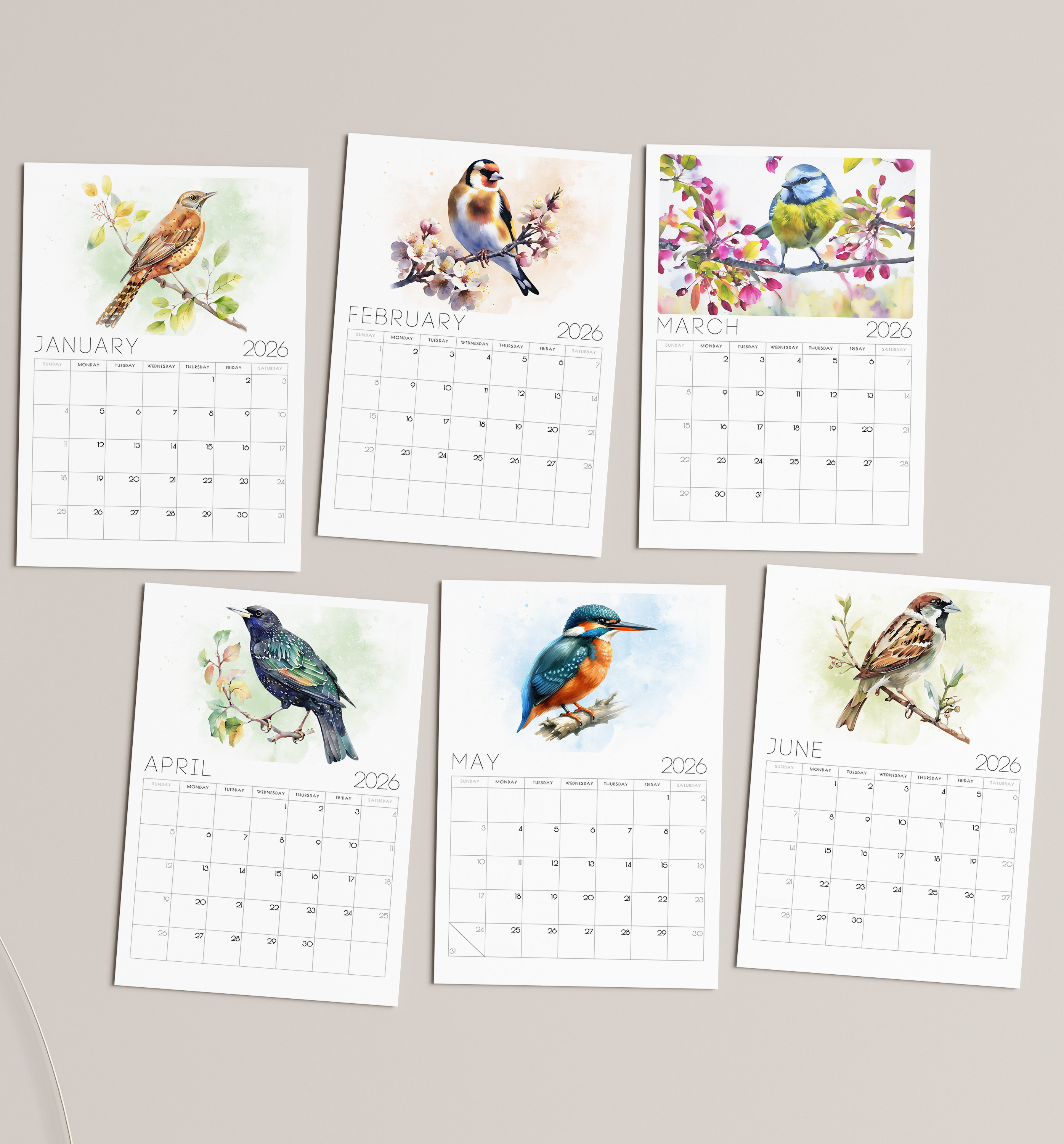 2026 Minimalist British Bird Desk Calendar – Elegant Desk Calendar with or without wooden stand 