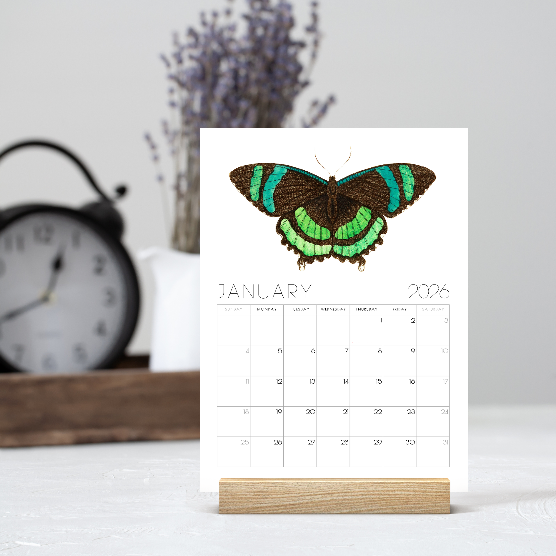 2026 Minimalist Vintage Butterfly Art Desk Calendar – Vintage Wildlife Art Calendar with or without wooden stand 