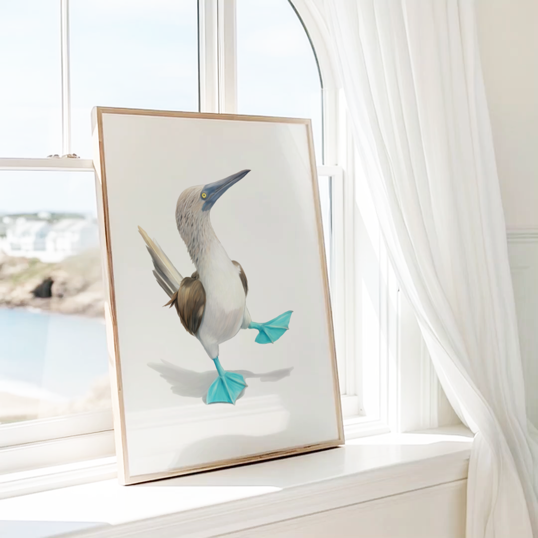 Blue Footed Booby Art Print - Nautical Home Decor