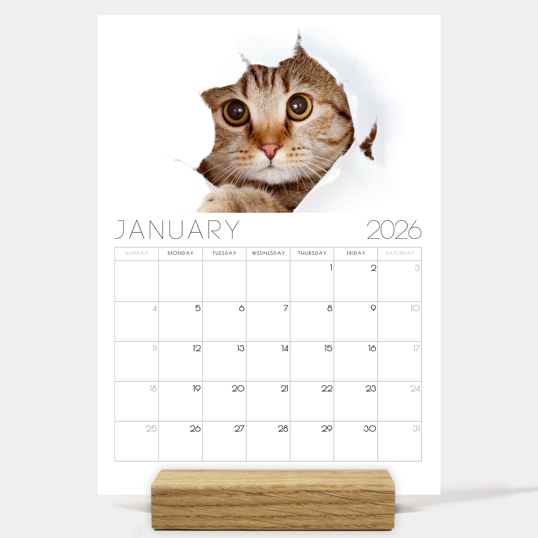 2026 Minimalist Cat Desk Calendar – Modern Cat Art with Optional Wooden Stand | Cute Gift for Cat Lovers