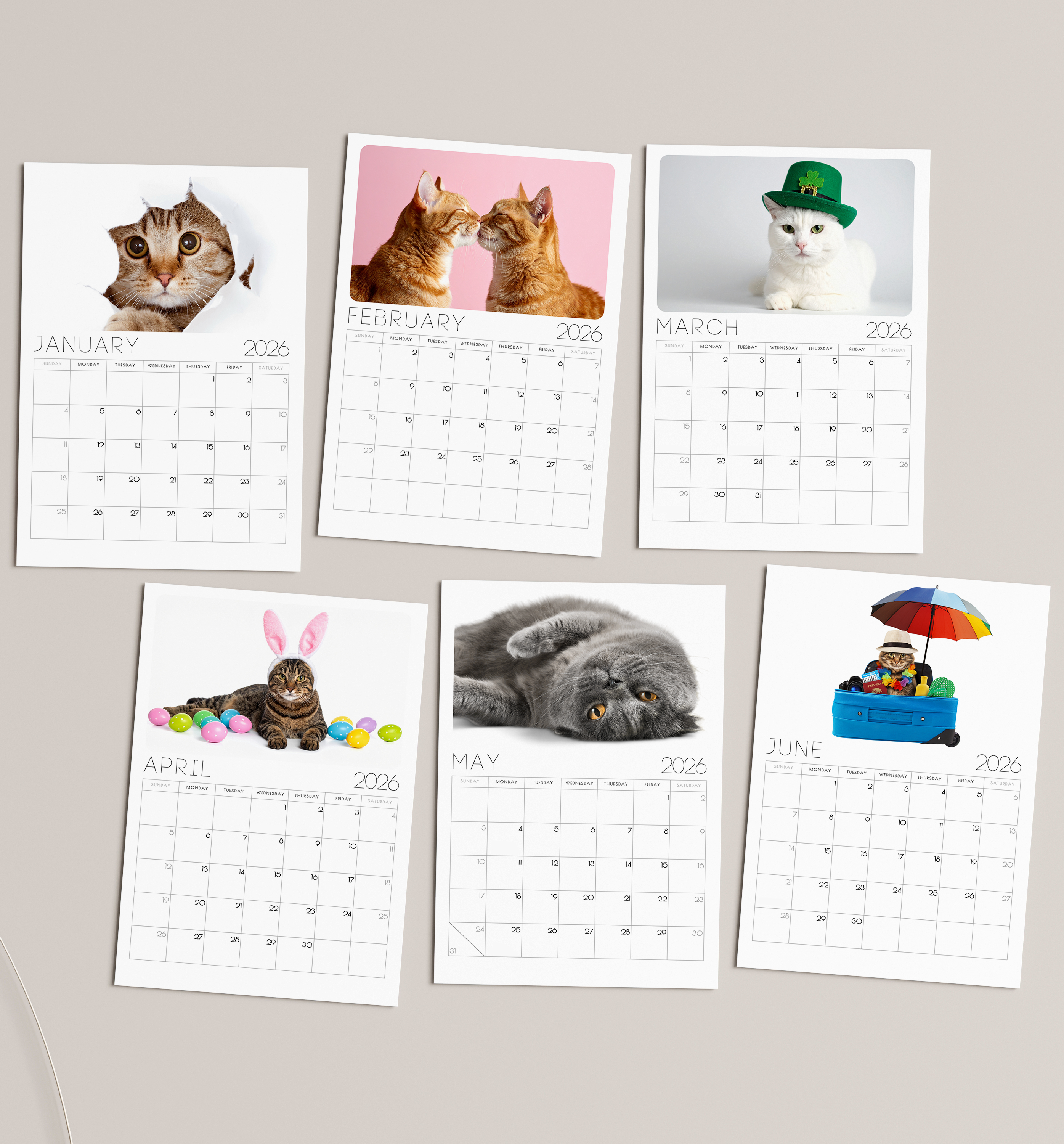 2026 Minimalist Cat Desk Calendar – Modern Cat Art with Optional Wooden Stand | Cute Gift for Cat Lovers