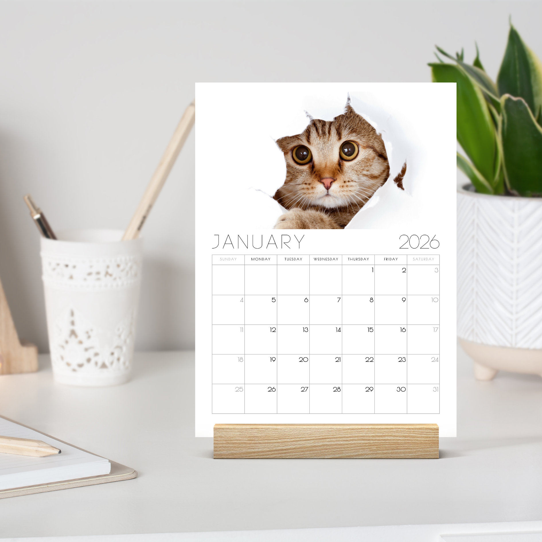 2026 Minimalist Cat Desk Calendar – Modern Cat Art with Optional Wooden Stand | Cute Gift for Cat Lovers