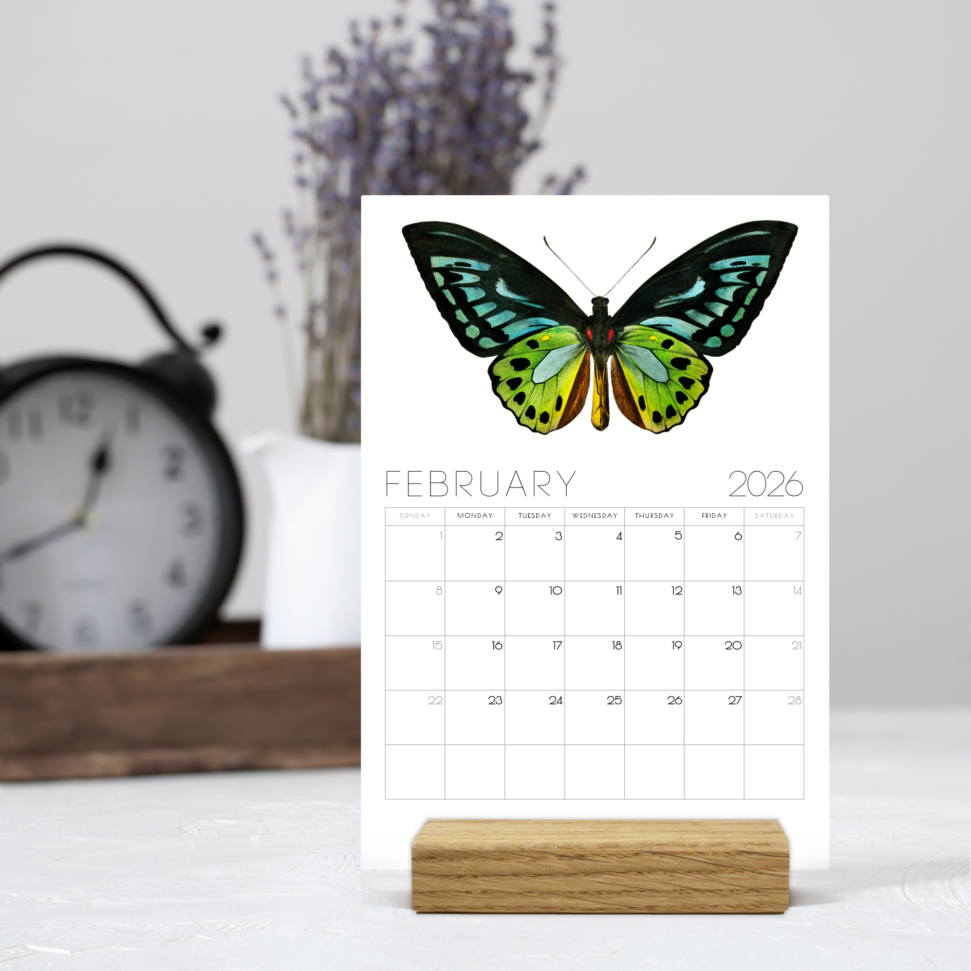 2026 Minimalist Vintage Butterfly Art Desk Calendar – Vintage Wildlife Art Calendar with or without wooden stand 