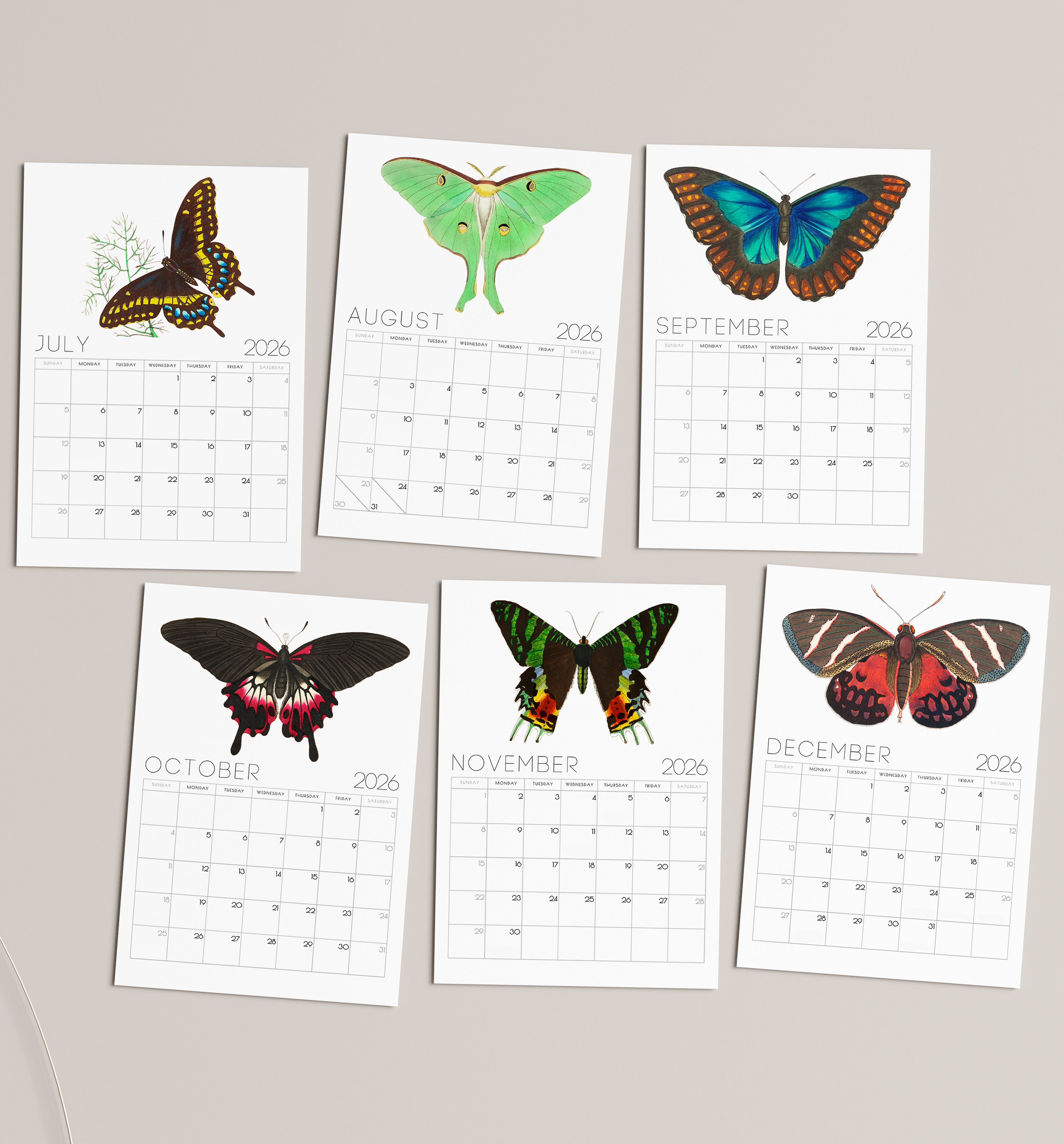 2026 Minimalist Vintage Butterfly Art Desk Calendar – Vintage Wildlife Art Calendar with or without wooden stand 