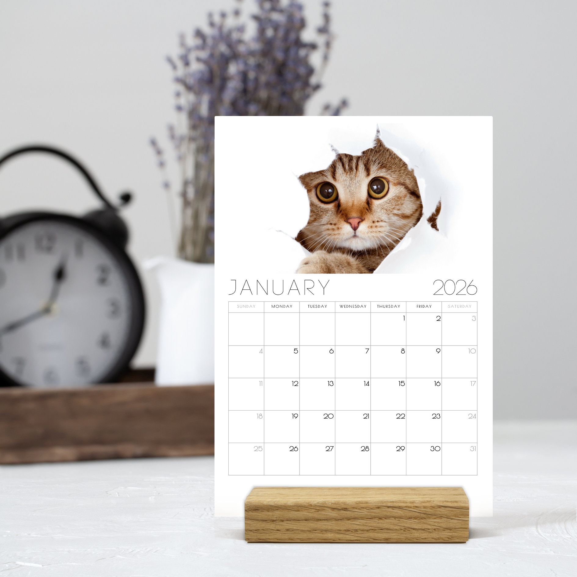 2026 Minimalist Cat Desk Calendar – Modern Cat Art with Optional Wooden Stand | Cute Gift for Cat Lovers