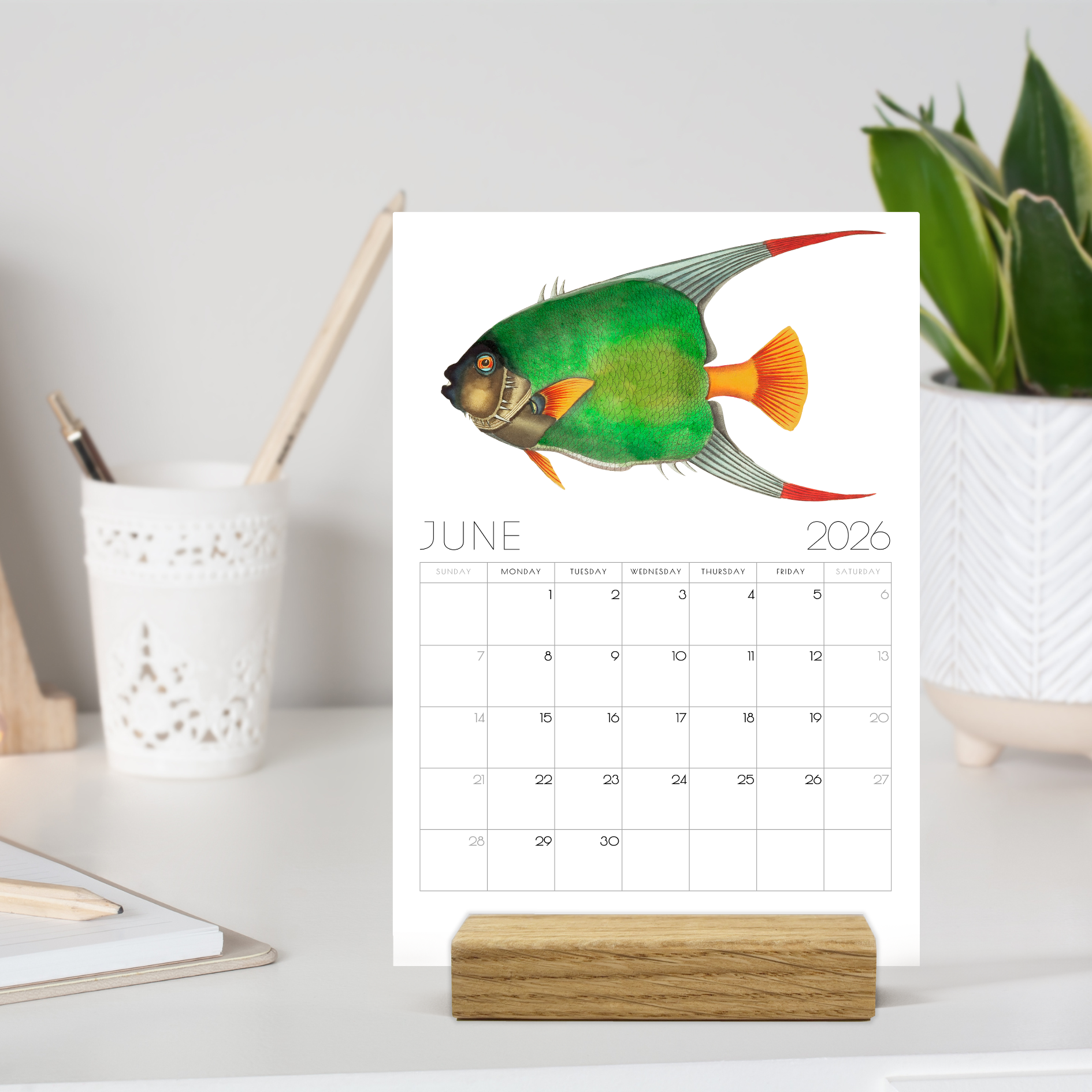 2026 Minimalist Vintage Fish Art Desk Calendar – Nautical Art Calendar with or without wooden stand 