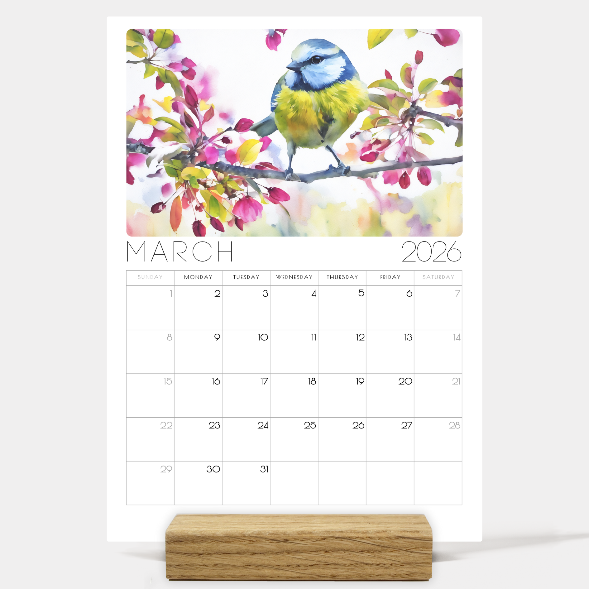 2026 Minimalist British Bird Desk Calendar – Elegant Desk Calendar with or without wooden stand 