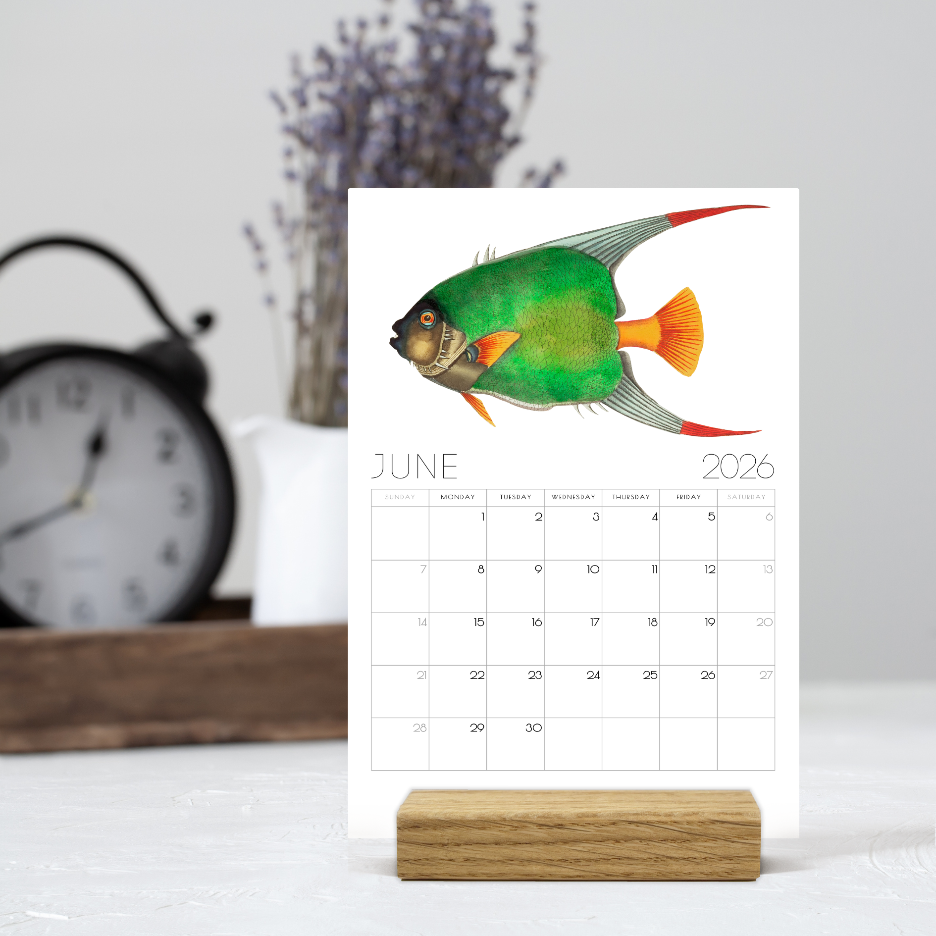 2026 Minimalist Vintage Fish Art Desk Calendar – Nautical Art Calendar with or without wooden stand 