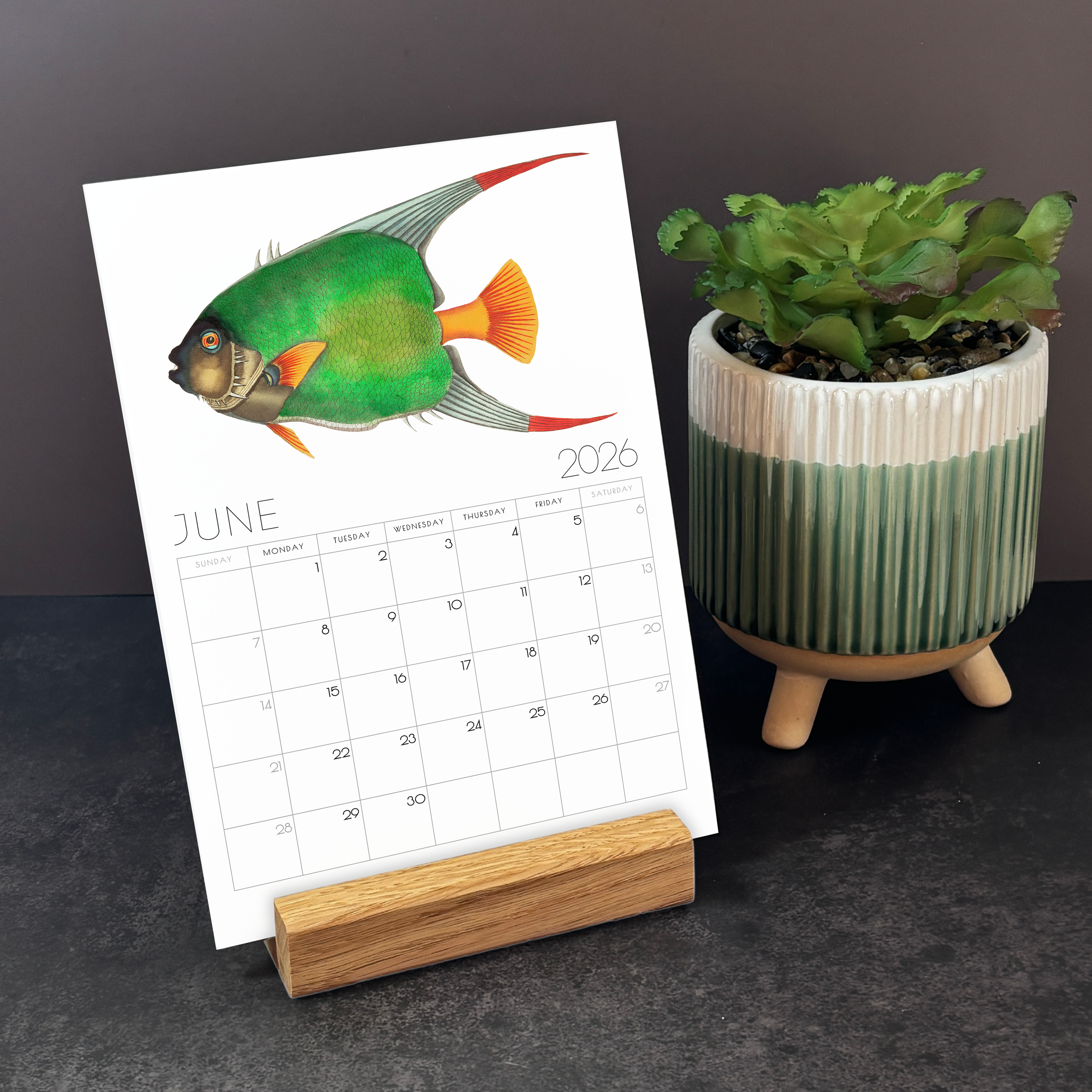 2026 Minimalist Vintage Fish Art Desk Calendar – Nautical Art Calendar with or without wooden stand