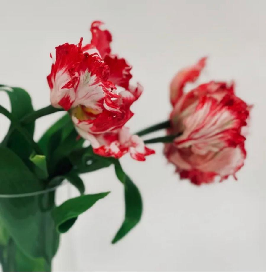 Floral Art Workshop - Dec 14, 2025