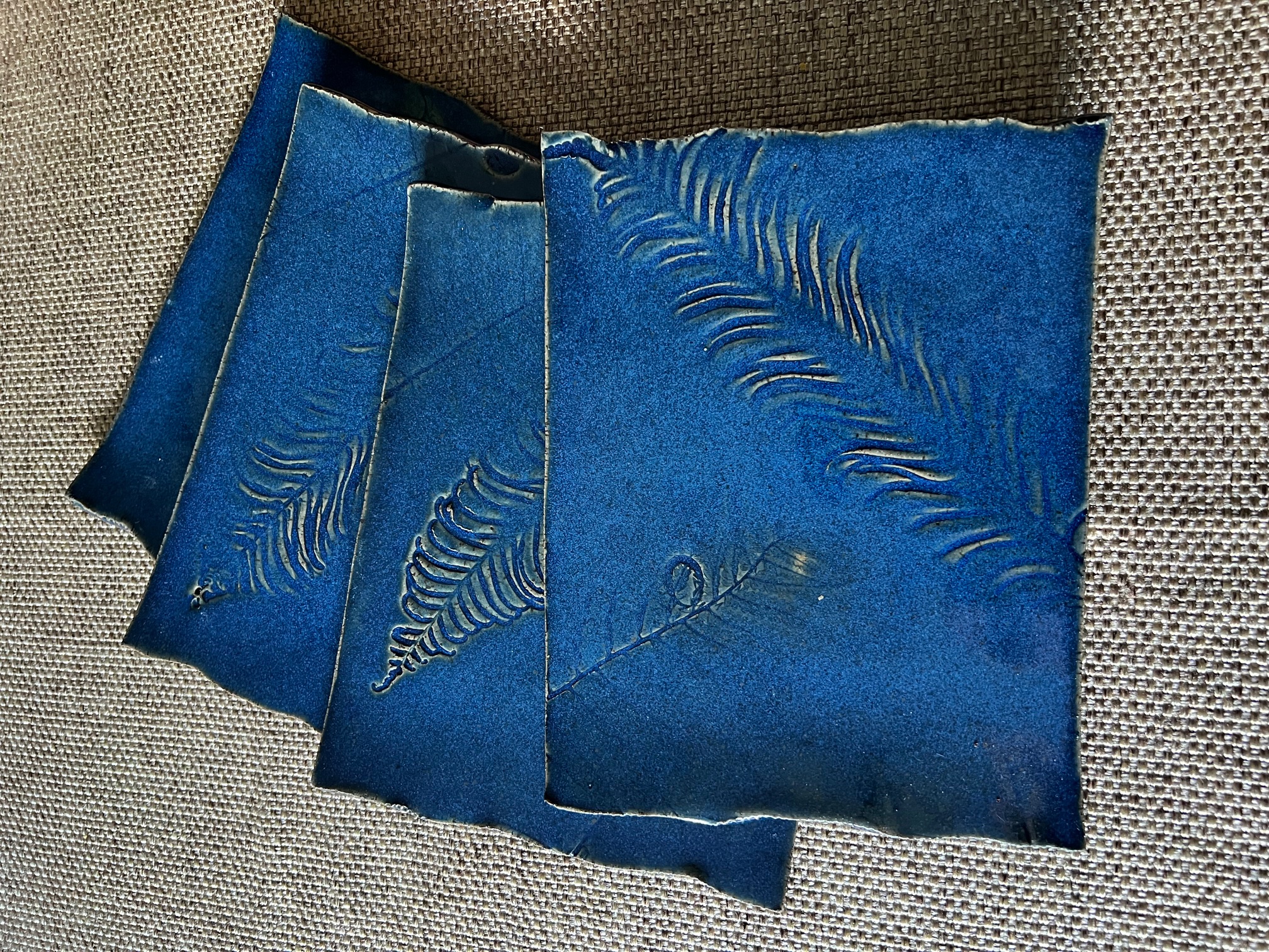 Udeshi Sushi Plates (4)