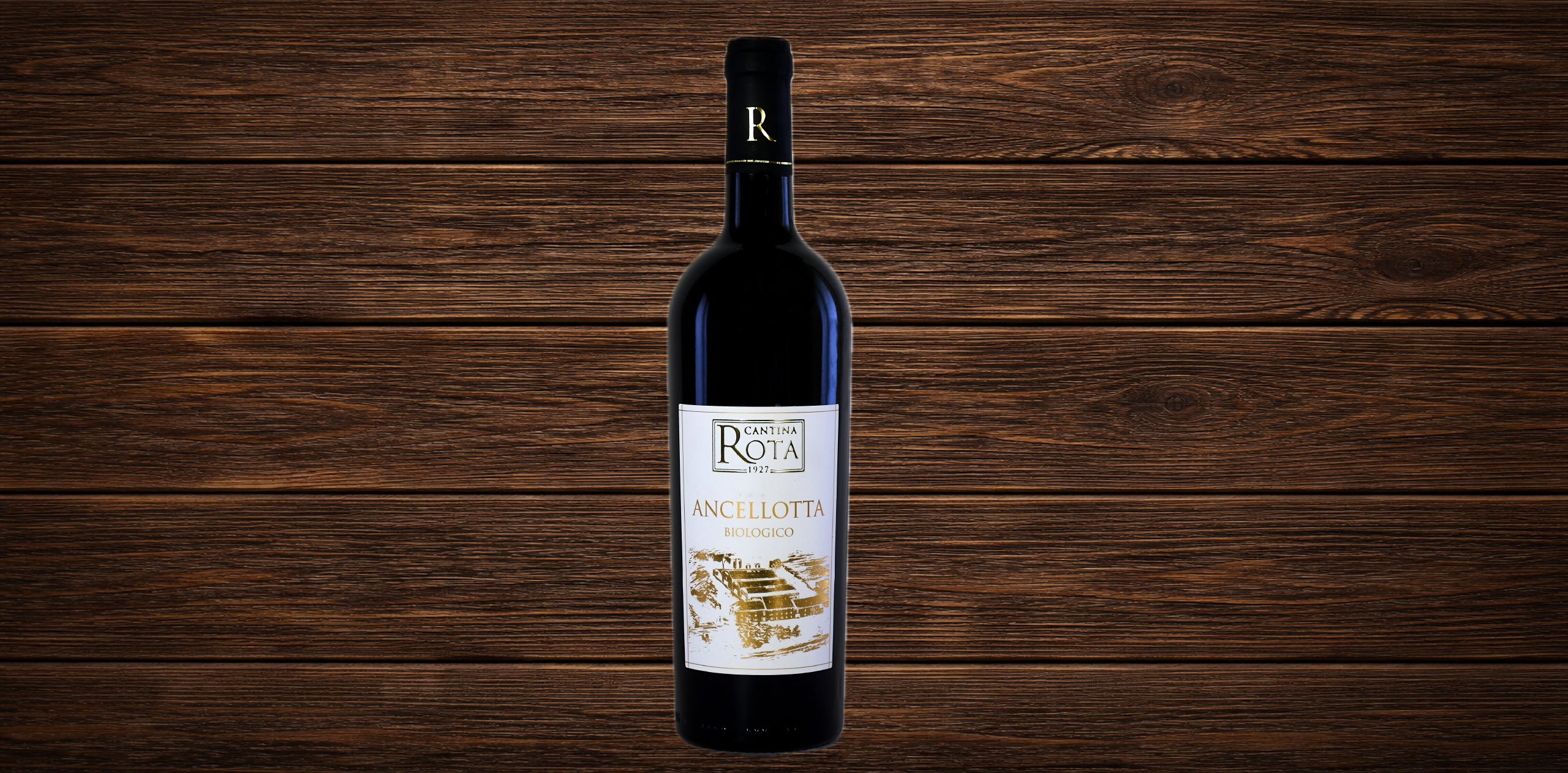 Ancellotta 2024  BIO