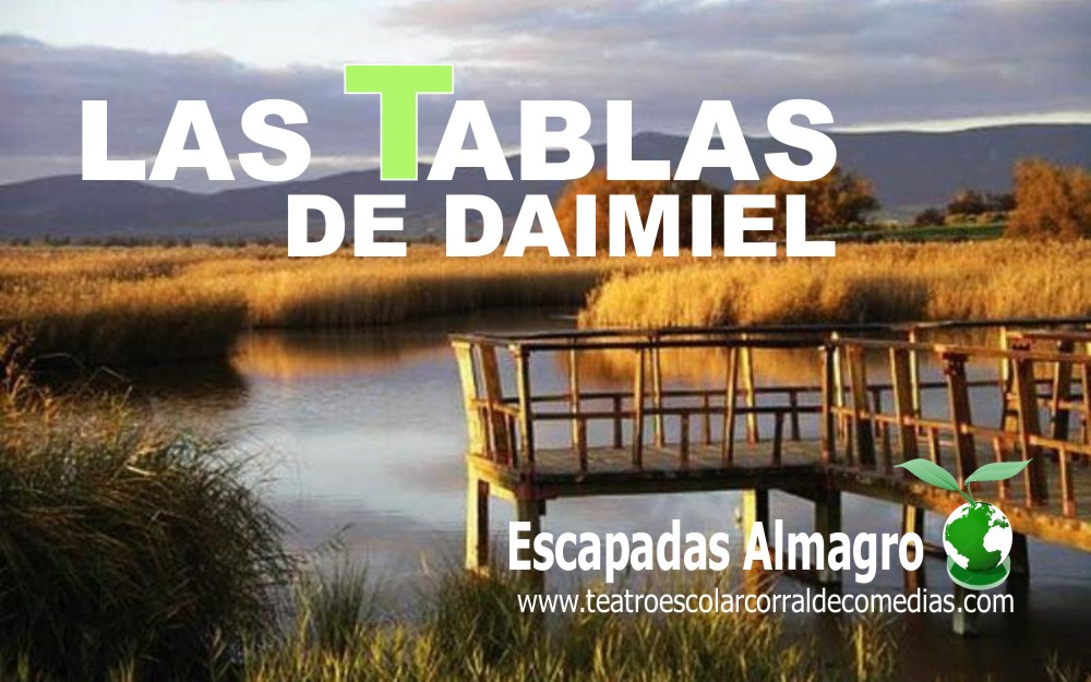 TABLAS DE DAIMIEL