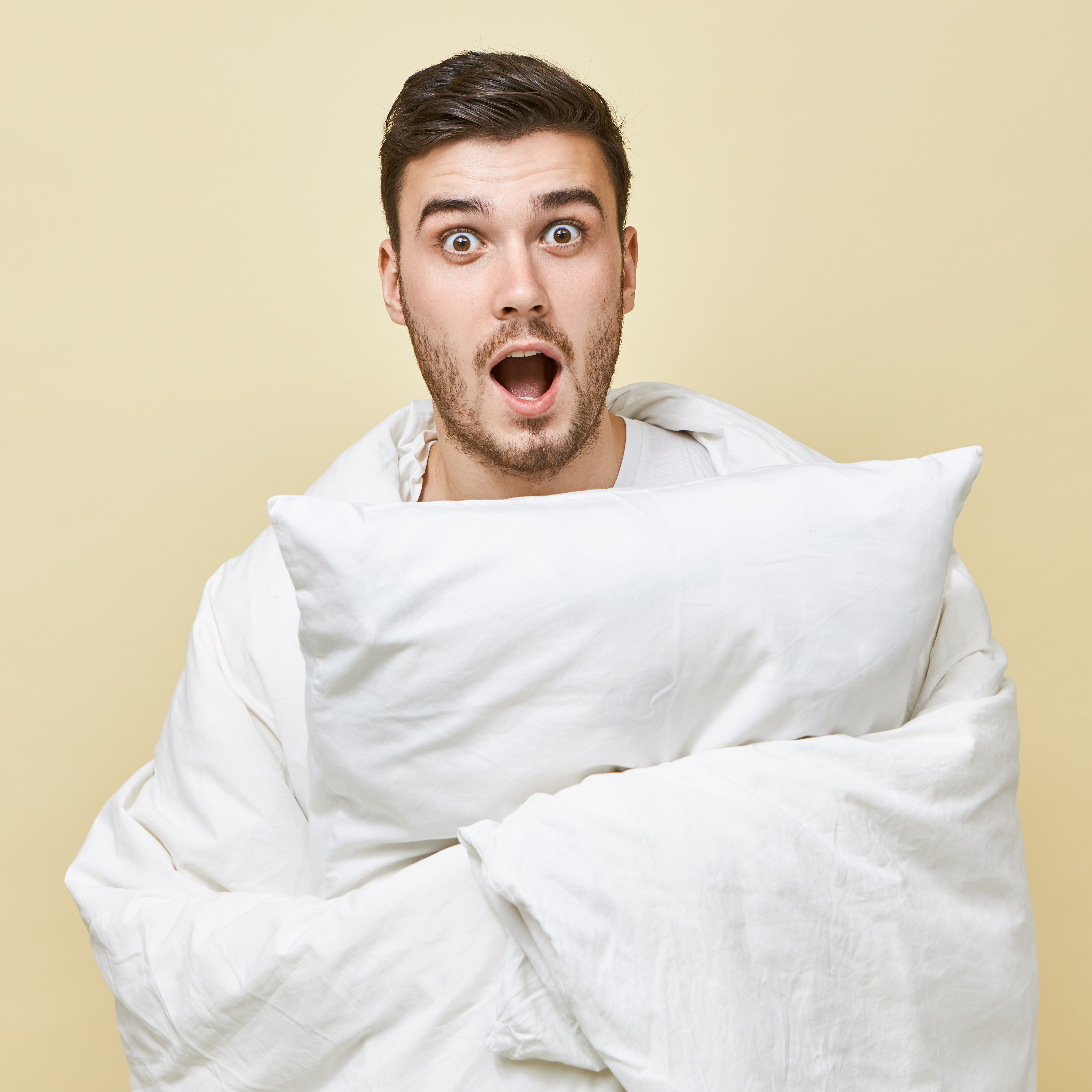 Comfortable White Pillow