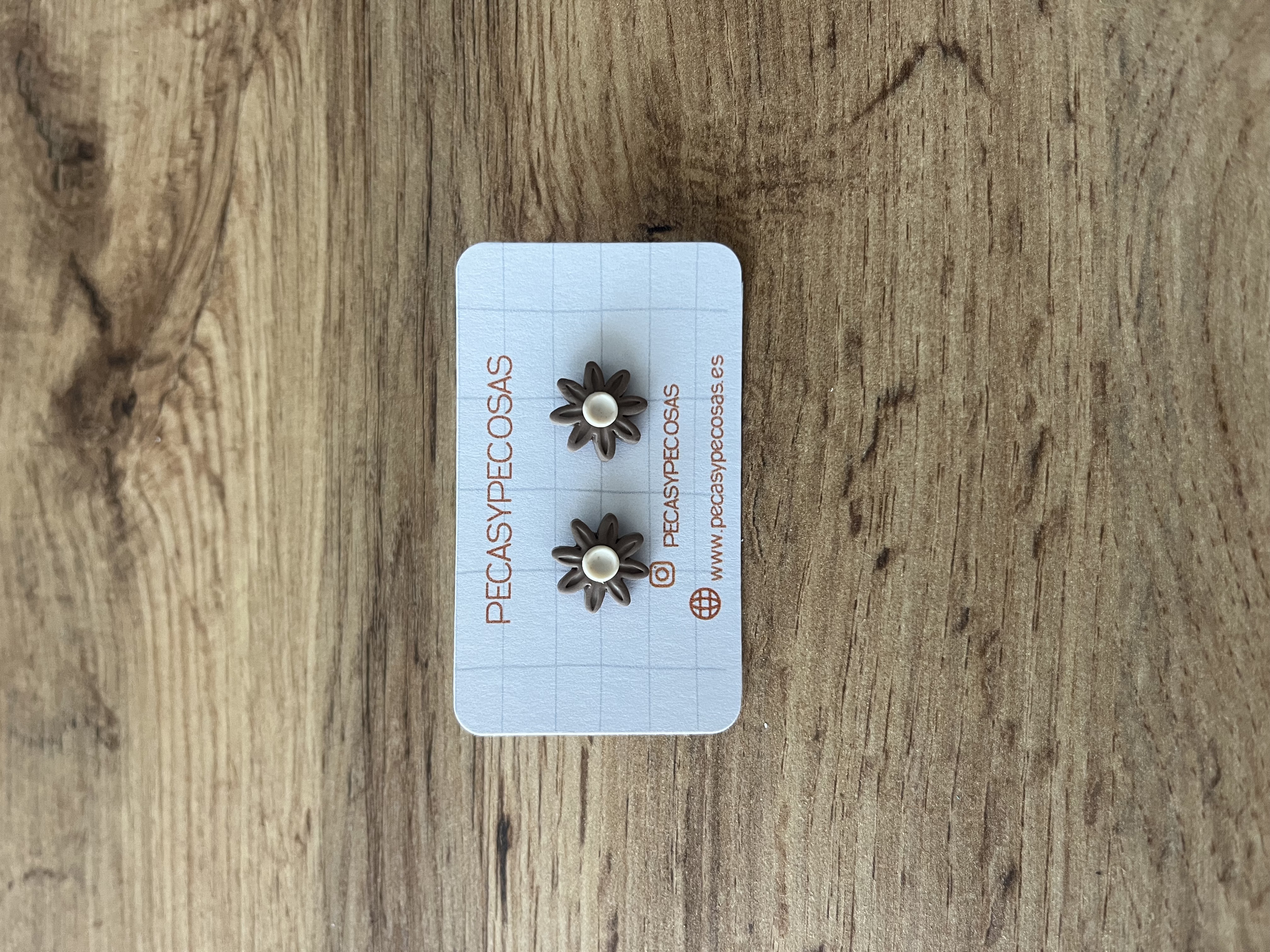 Margaritas marron oscuro minis