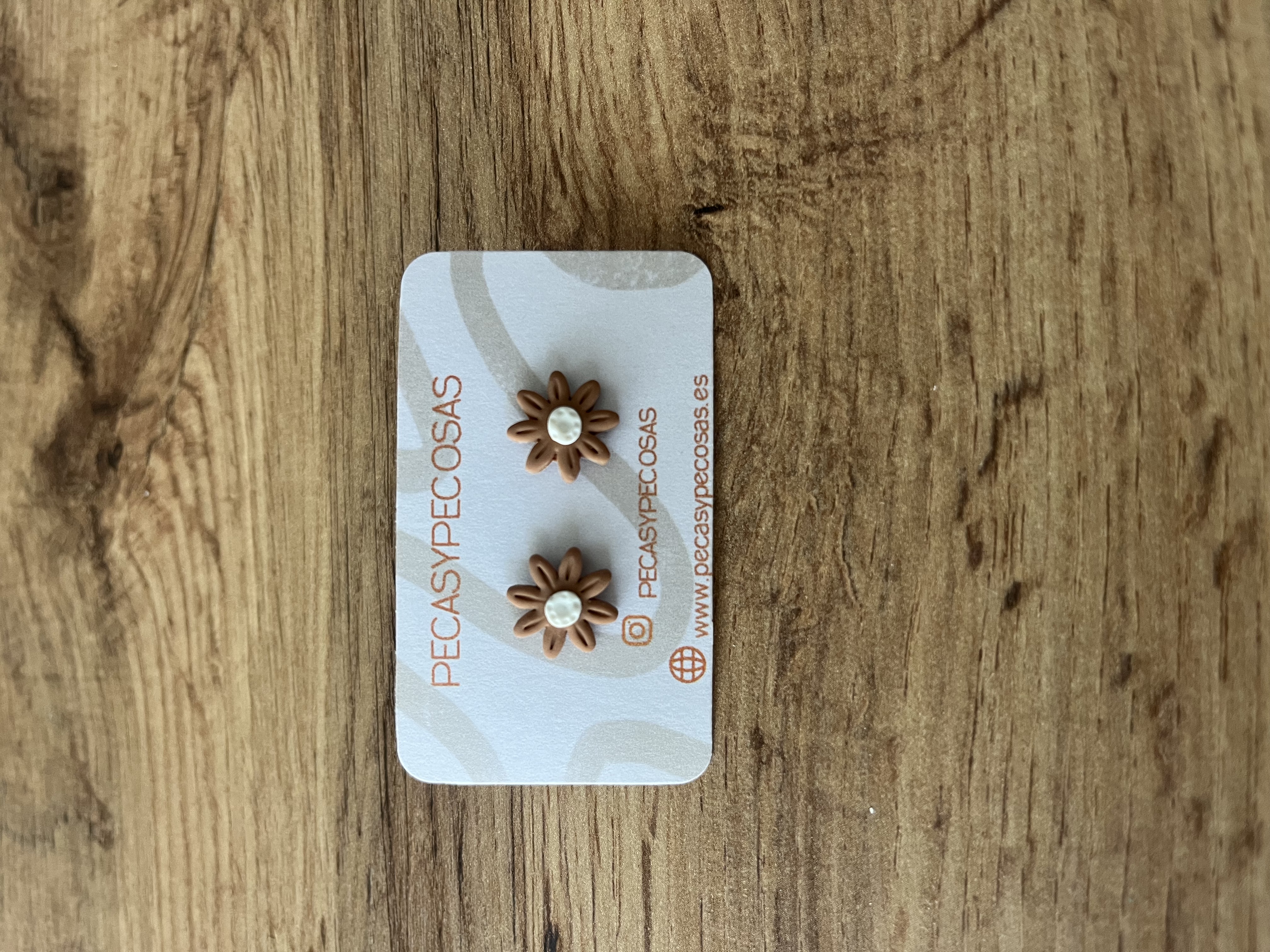 Margaritas marron medio minis