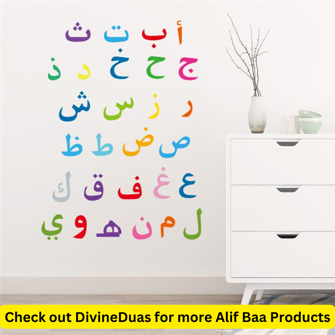 Alif Baa Arabic Alphabet Wall Stickers