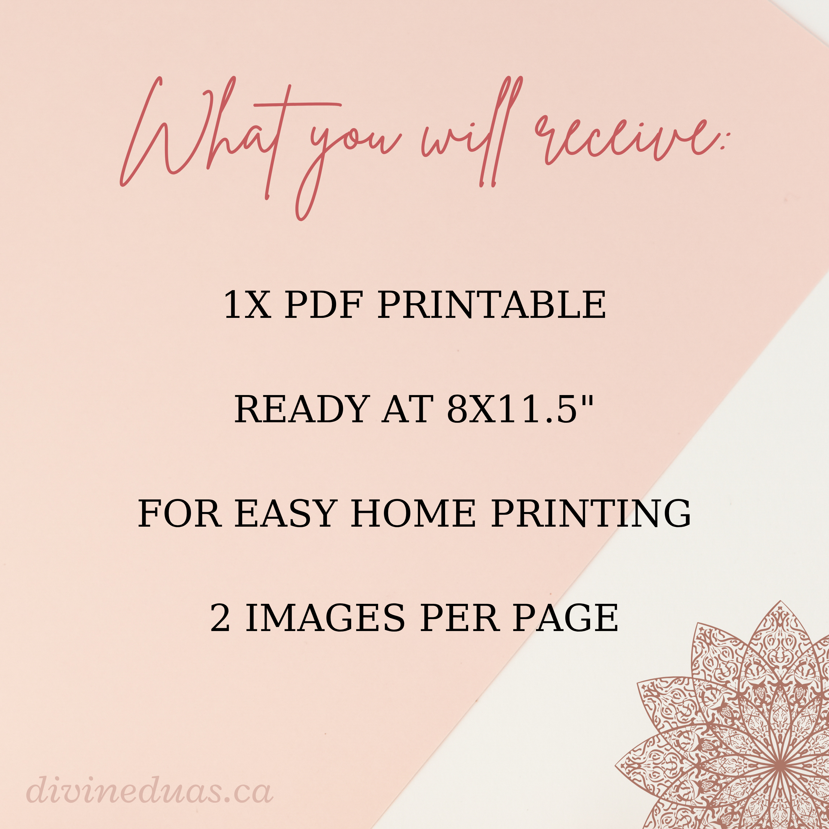 Eat and Drink Do Not Waste Printable, Quranic Verse on Asraf, Digital Download to Teach Children