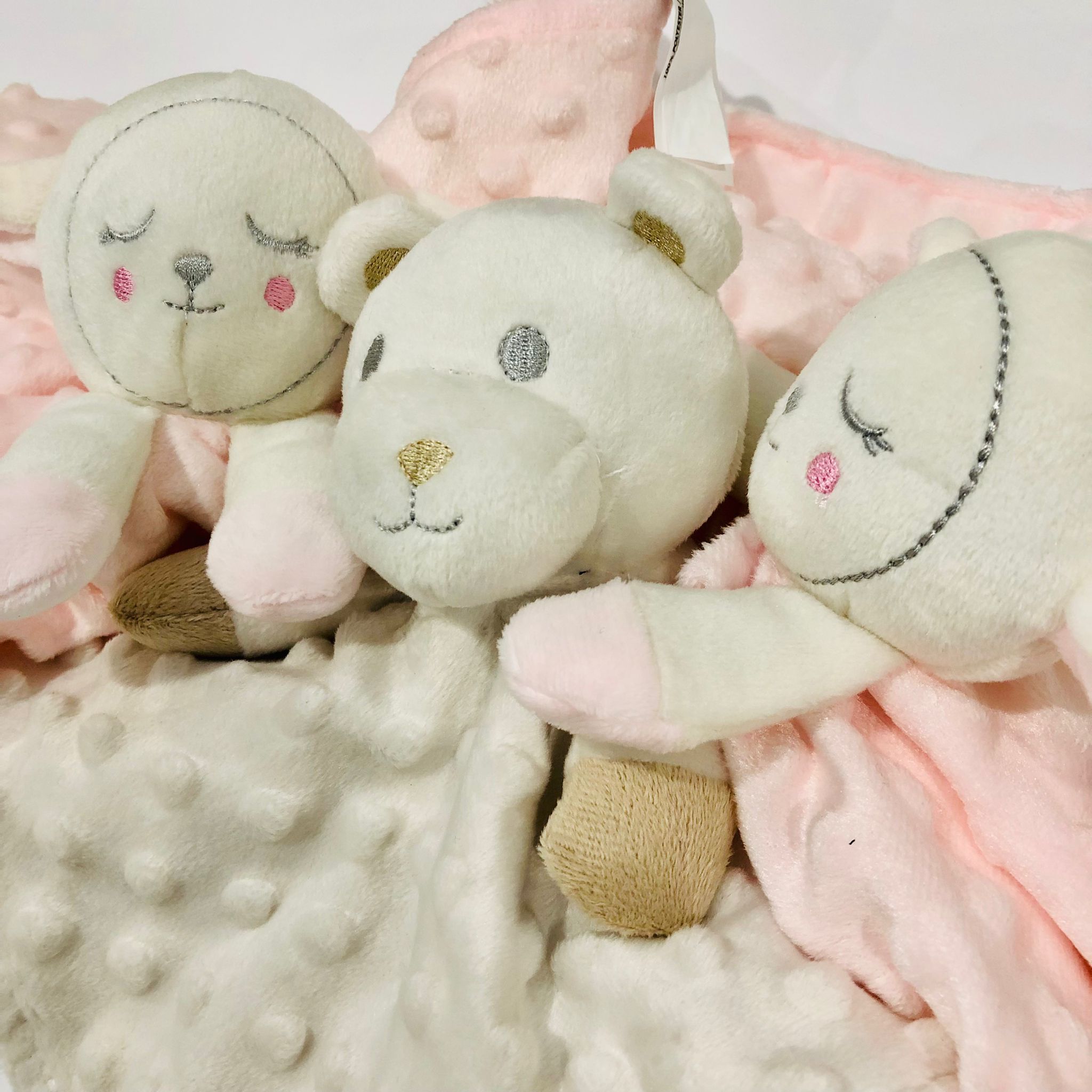 Personalized Pink Minky Baby Comforter | Custom Name Security Blanket for Newborns