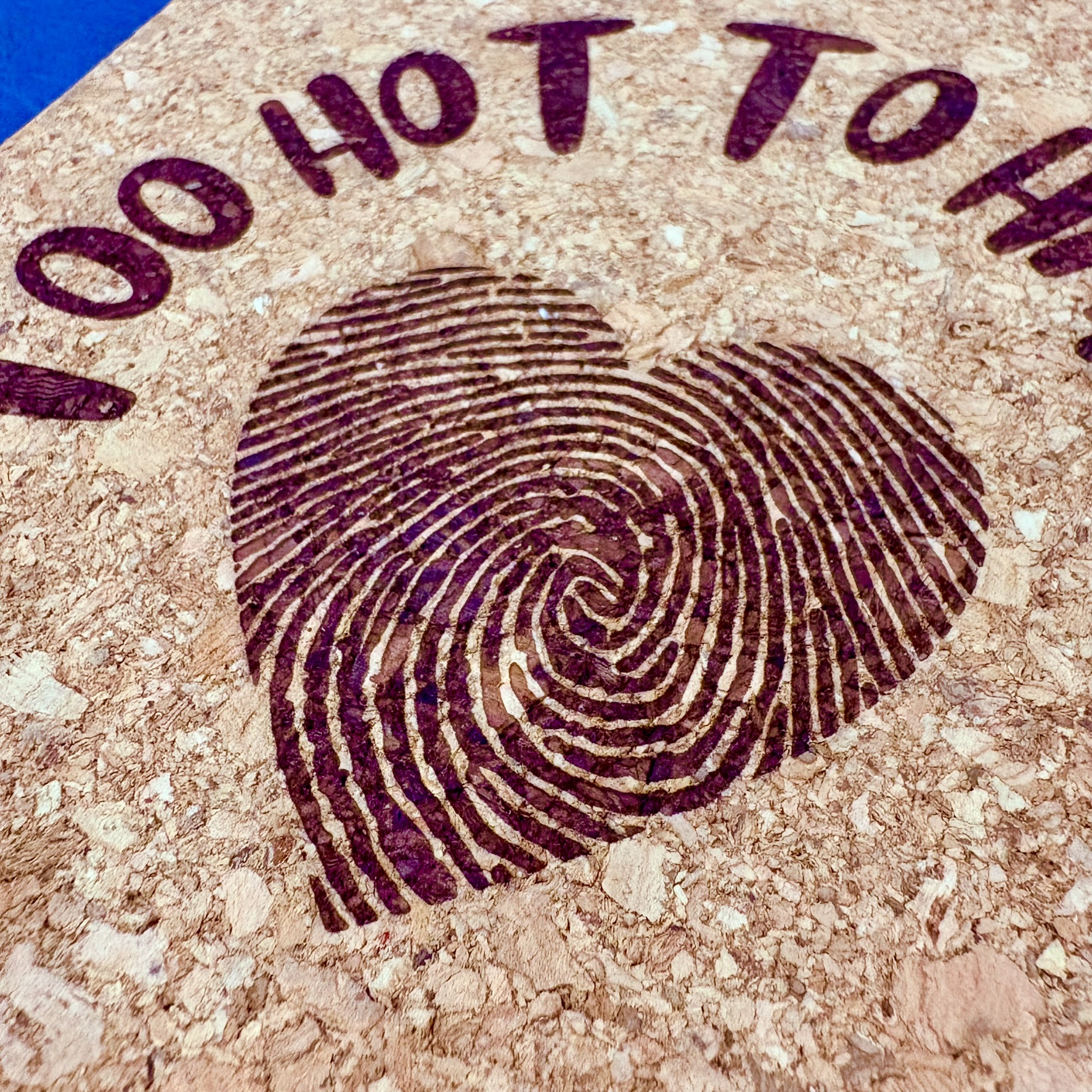 Funny Kitchen Cork Trivet Gift for Anniversary Couple, Hot mat