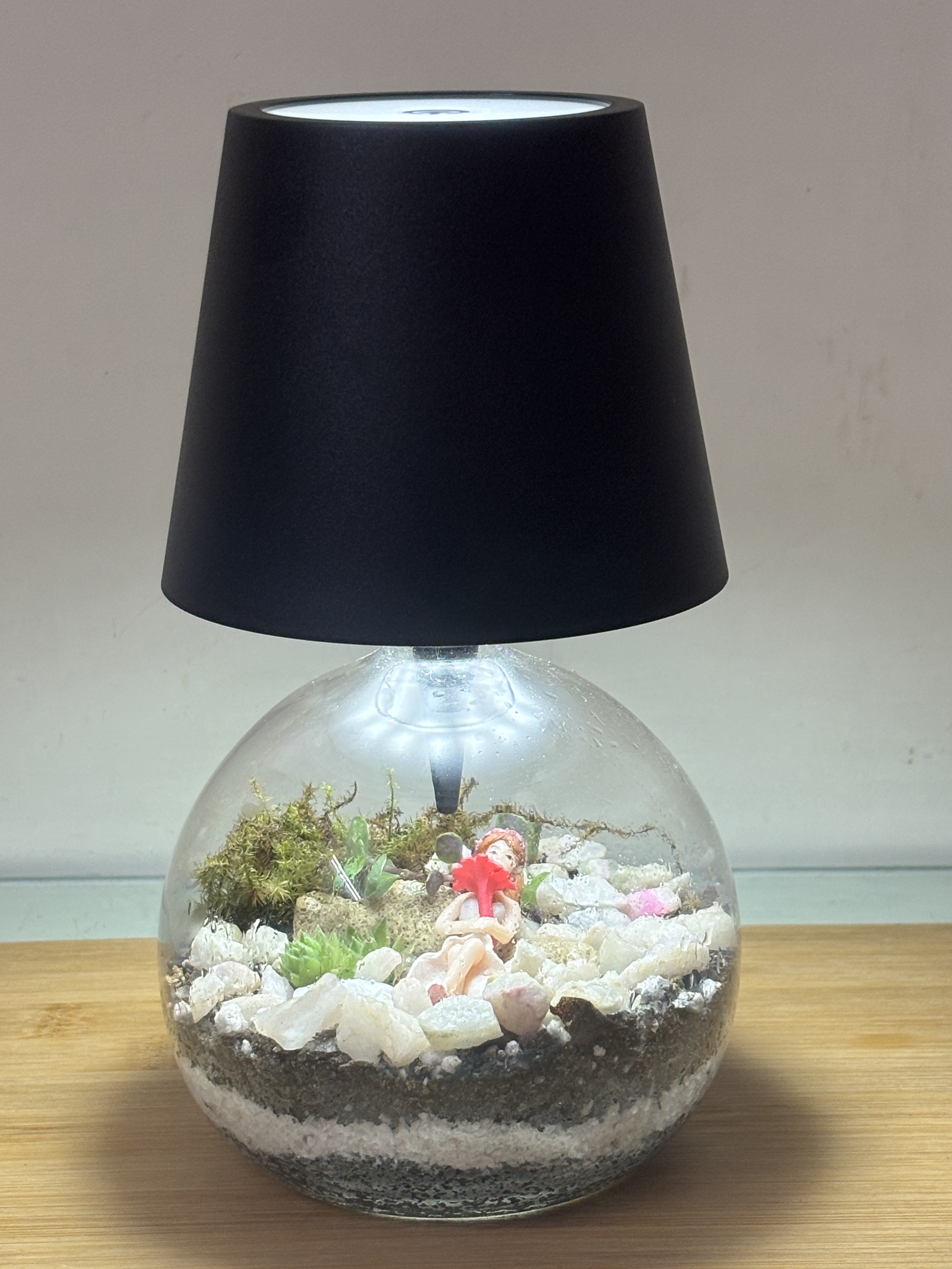 Decorative Terrarium Lamp