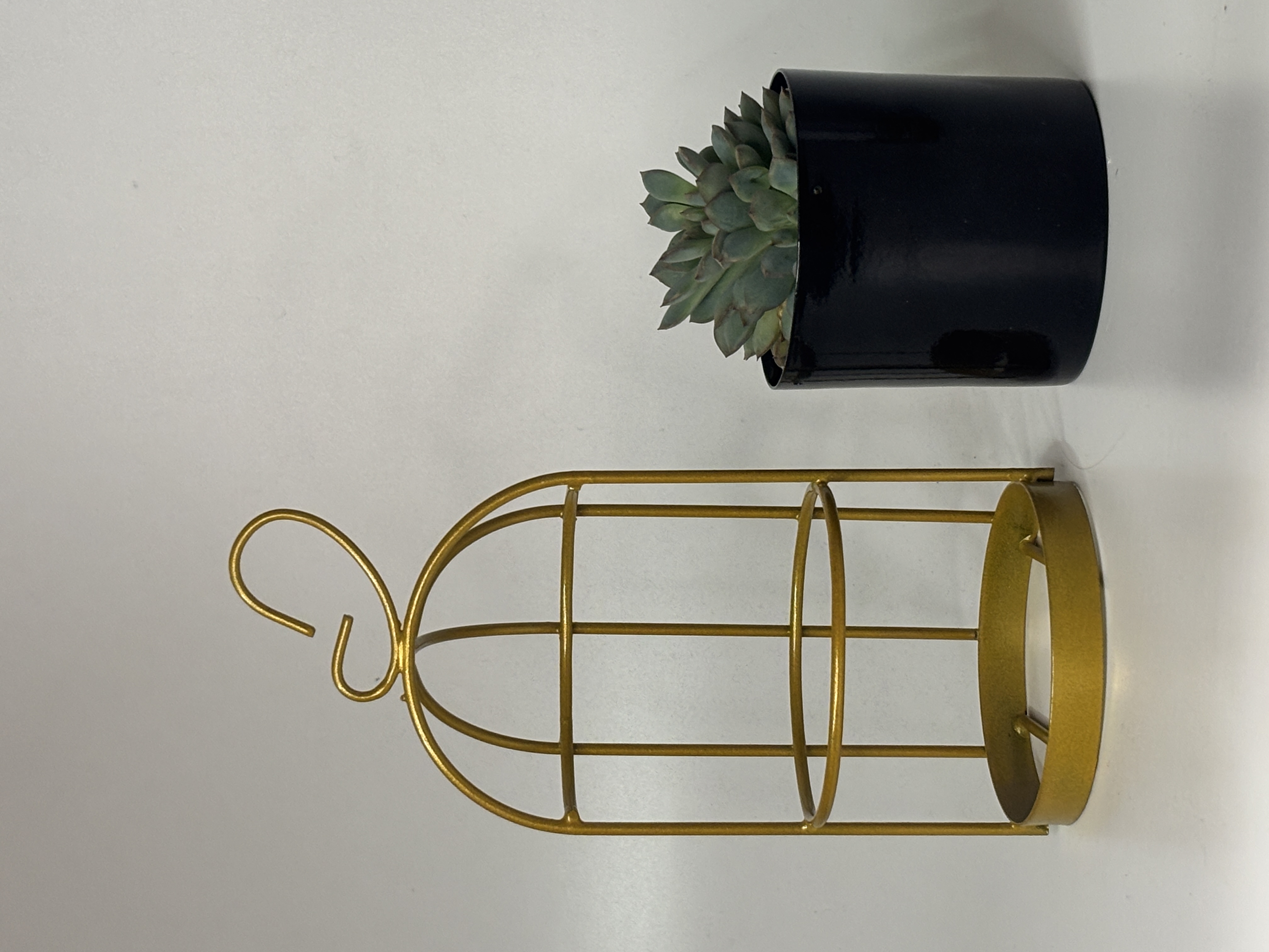 Decorative Succulent Planters