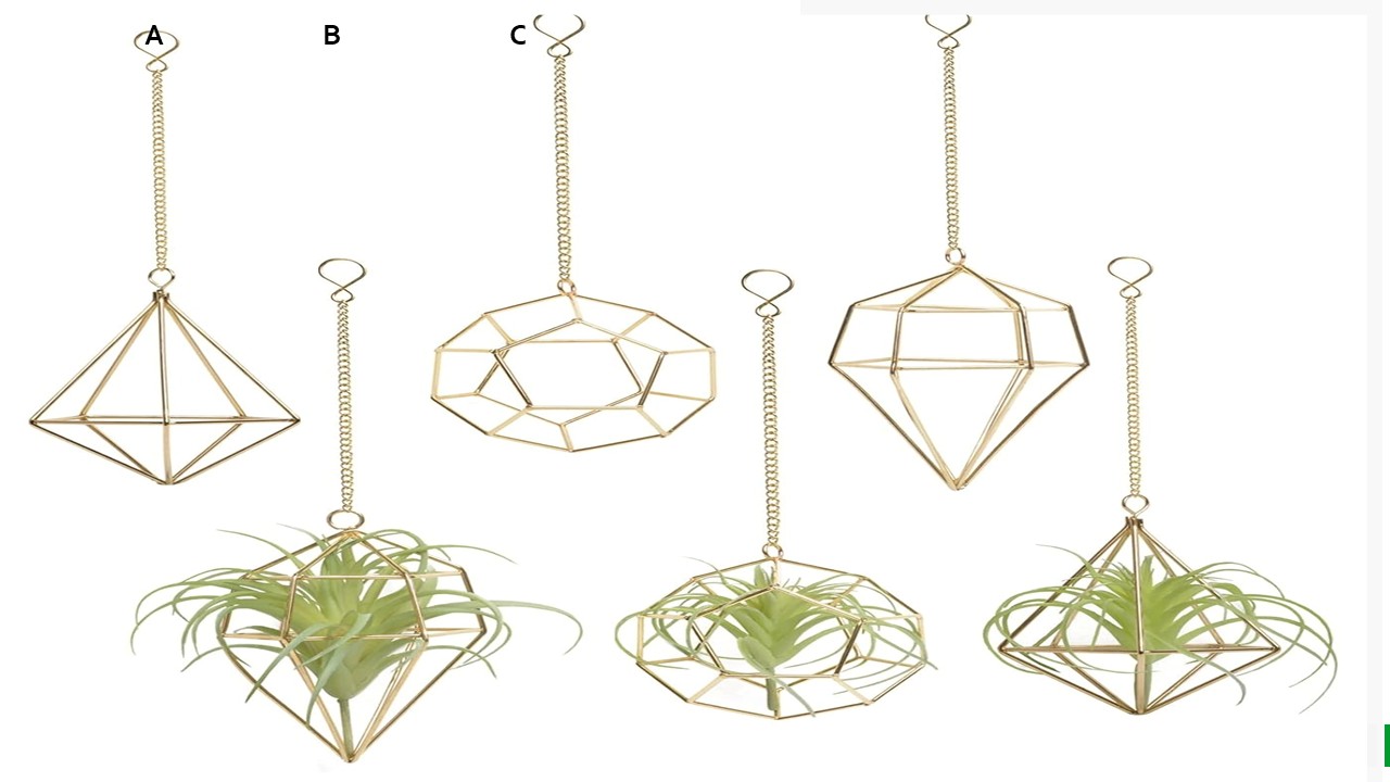 Hanging Air plant holder