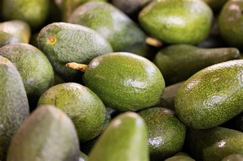 Aguacate